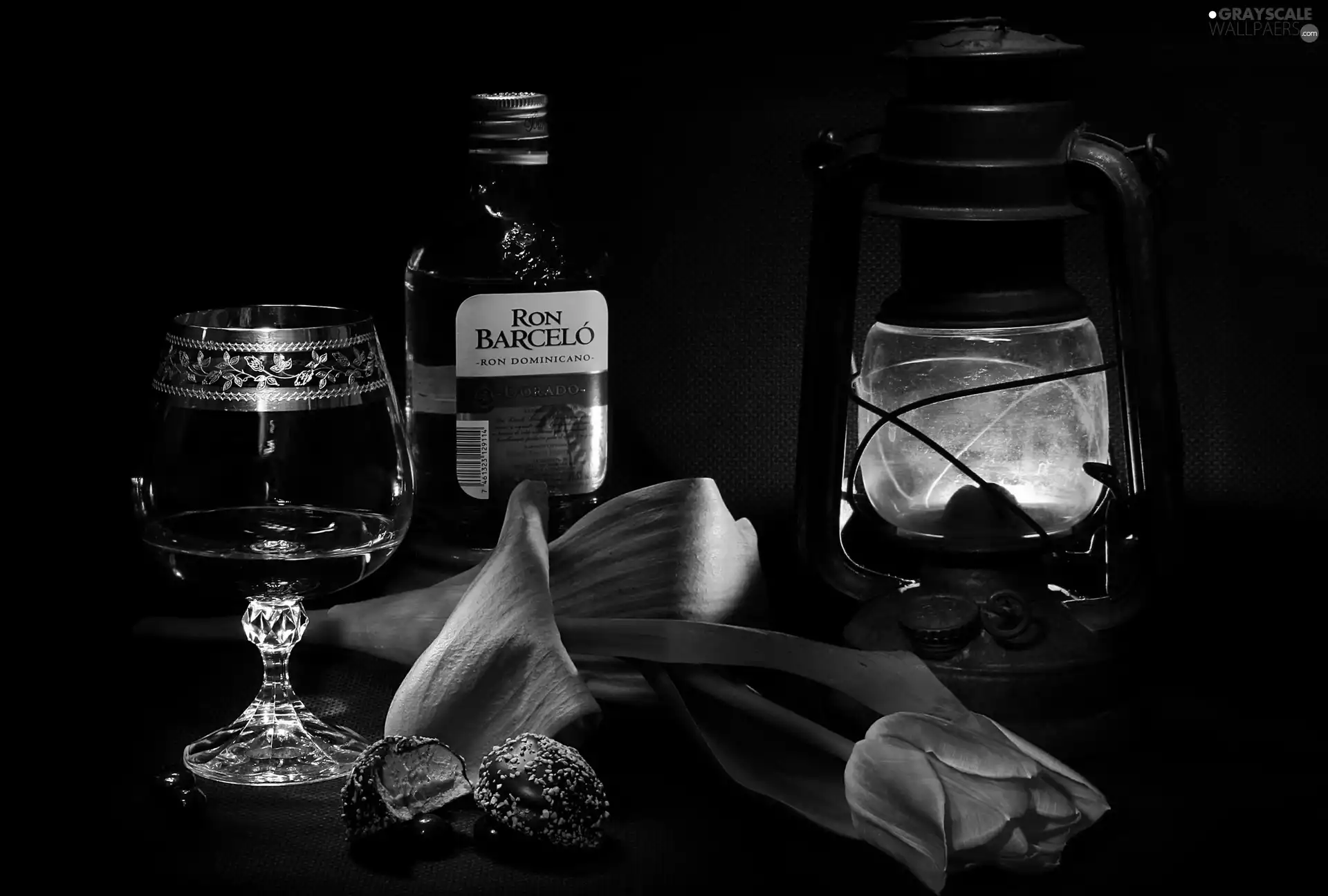 composition, Lamp, tulip, alcohol