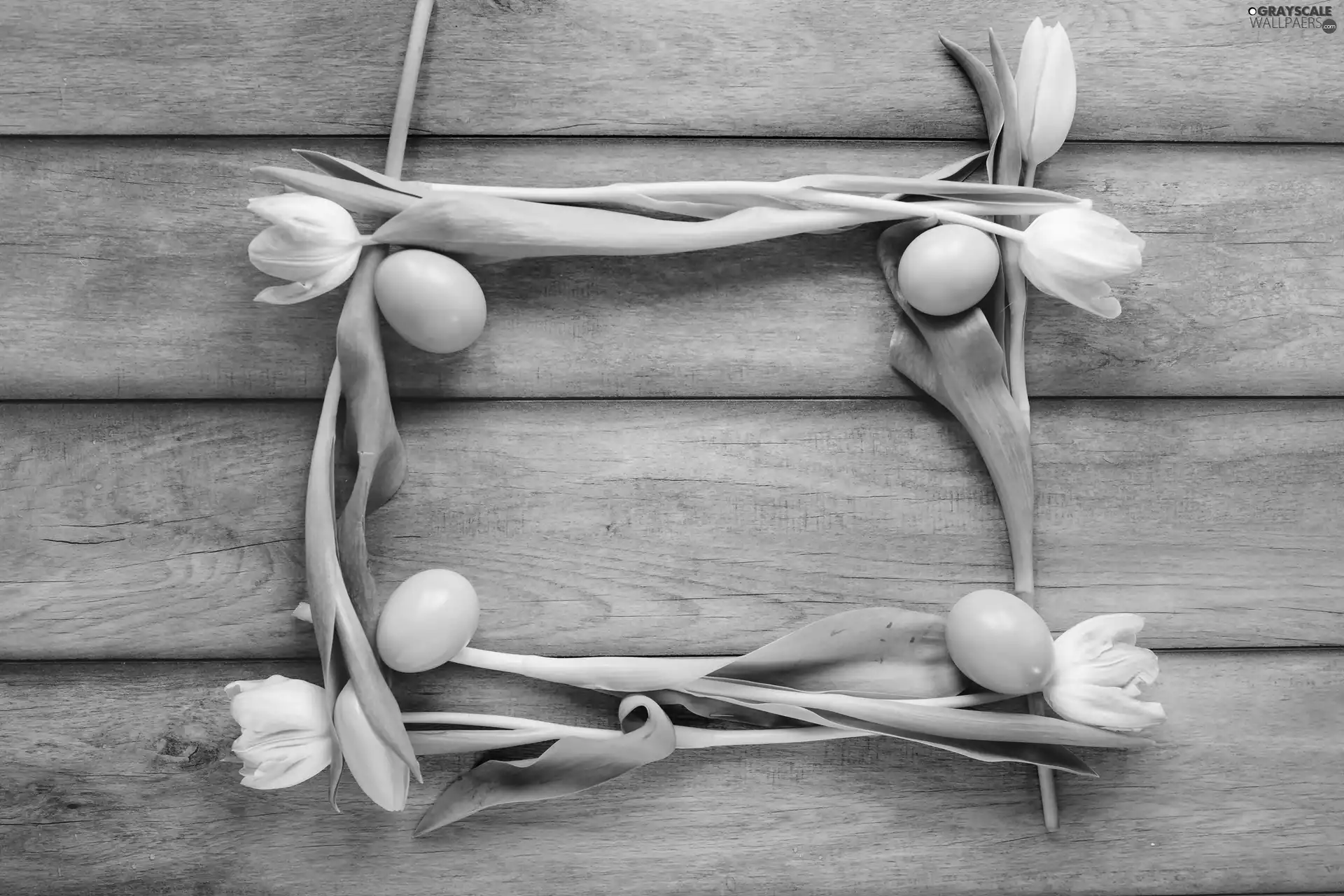 Easter, eggs, boarding, Tulips