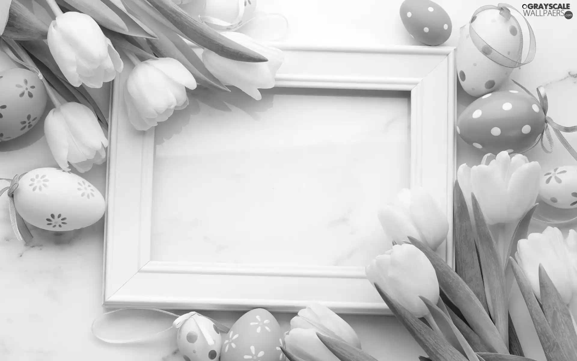 green ones, Easter, Tulips, frame, eggs, White