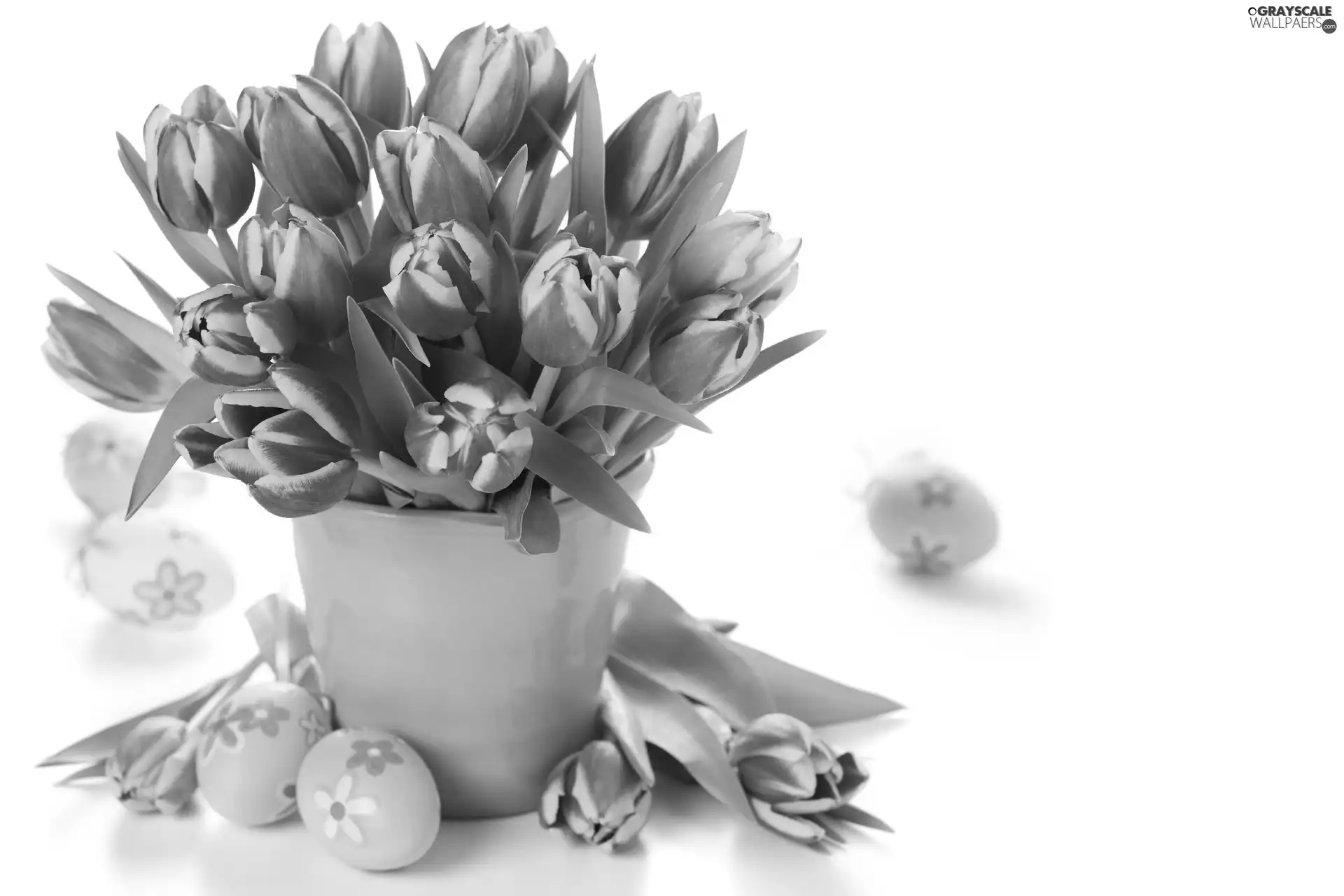 Tulips, Easter, eggs