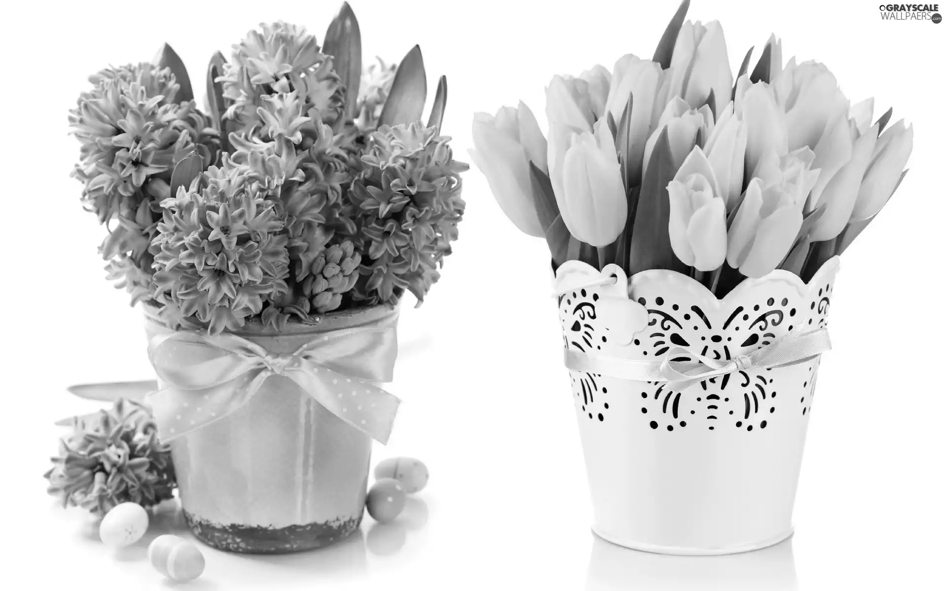 Hyacinths, Pots, eggs, Tulips
