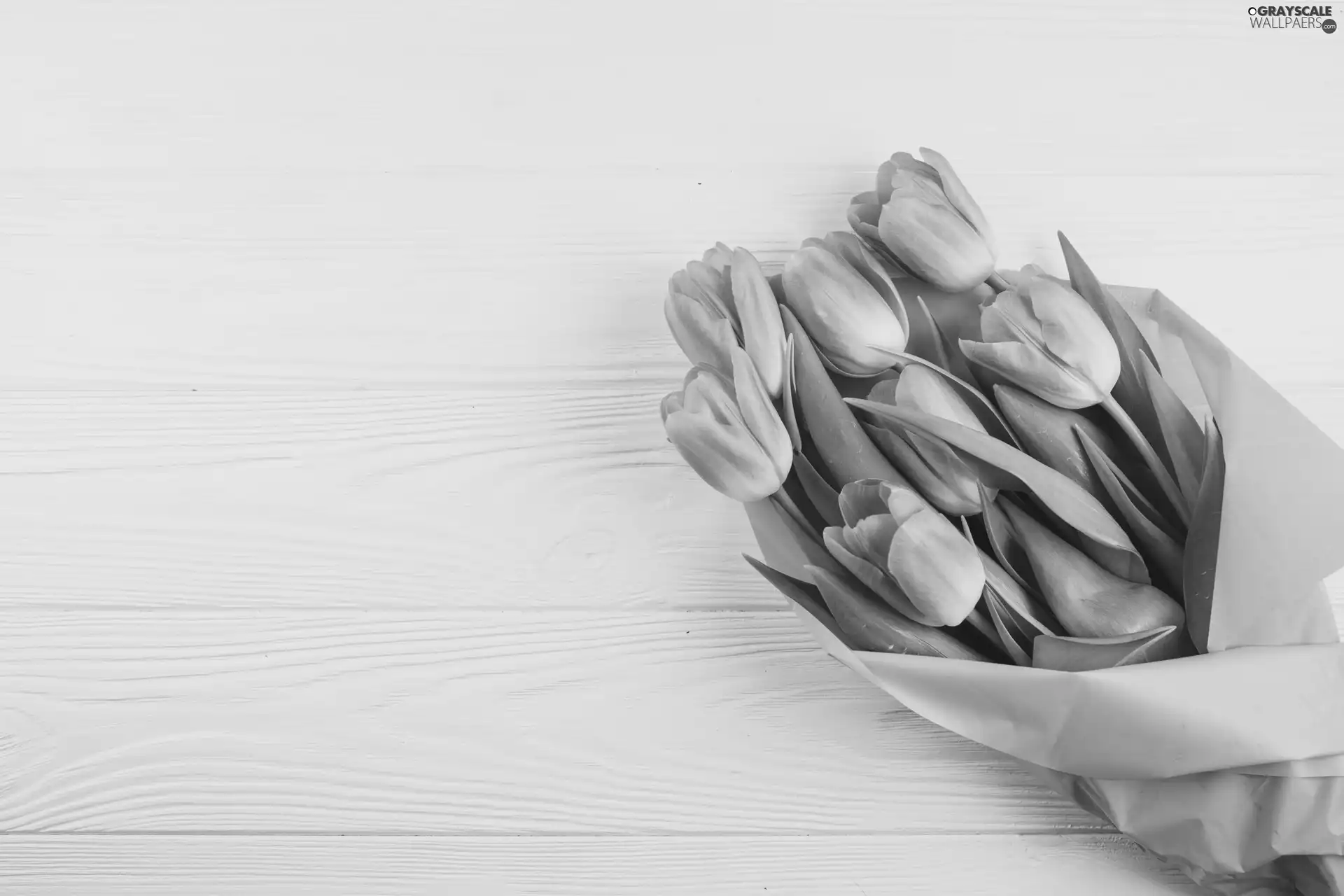 Pink, bouquet, boarding, Tulips