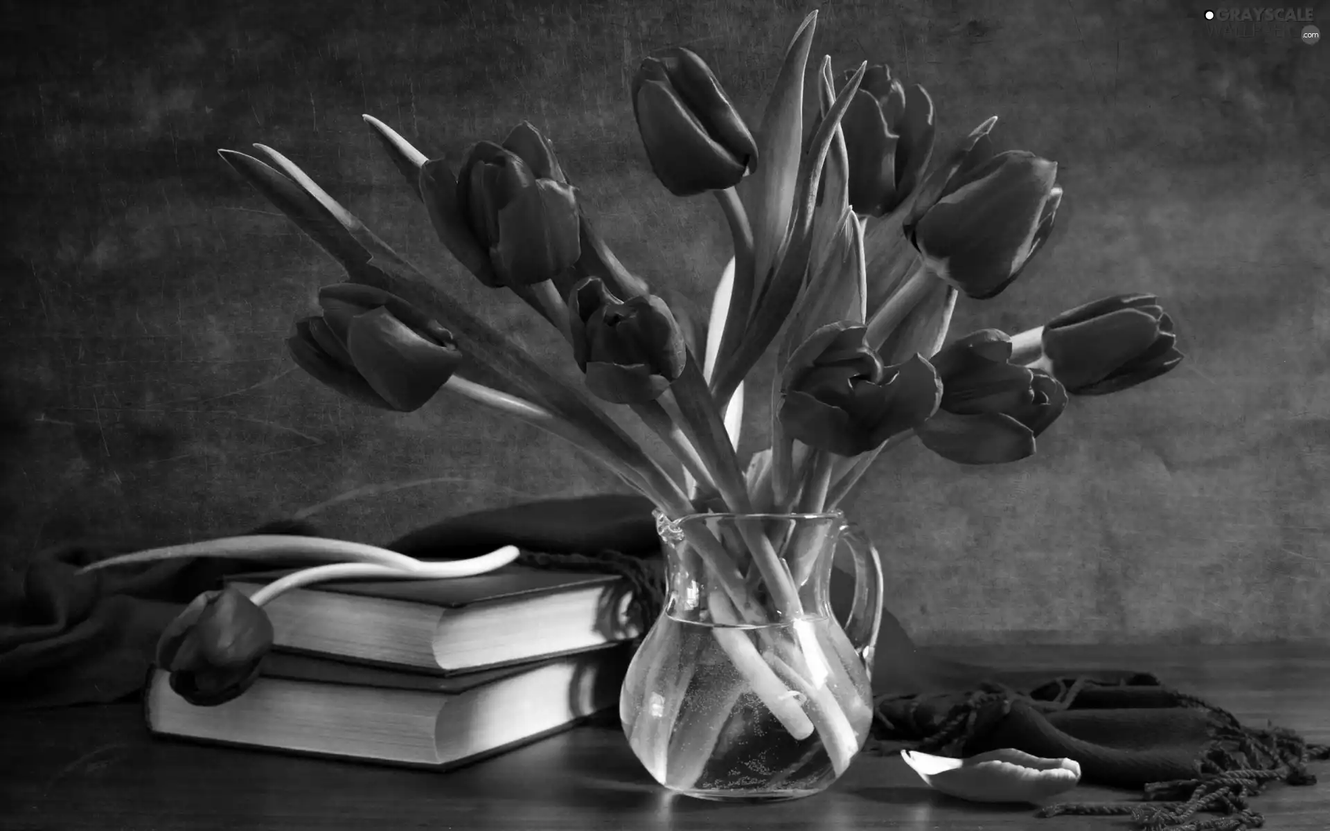 Red, Tulips