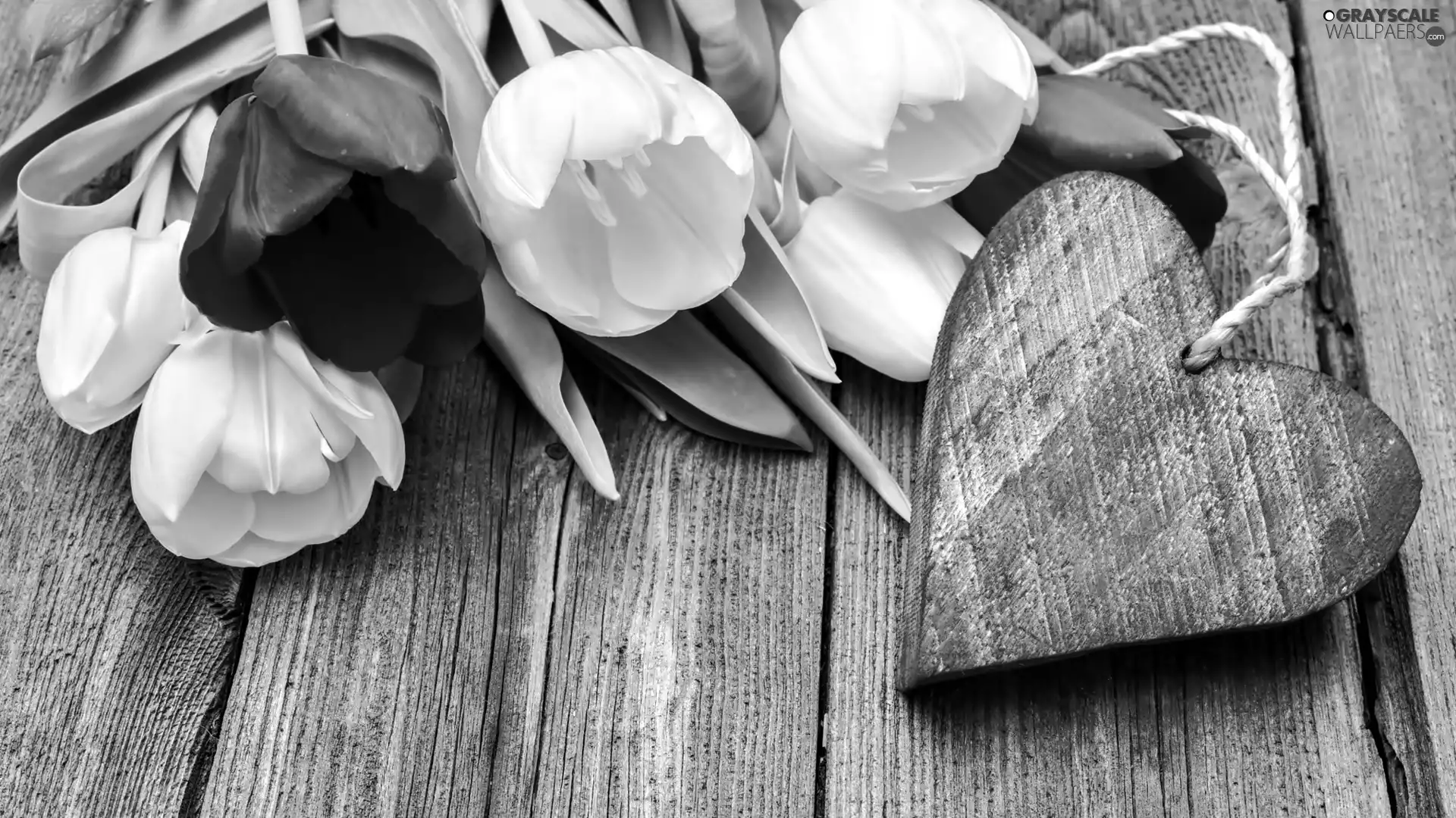 Tulips, Heart, Valentine