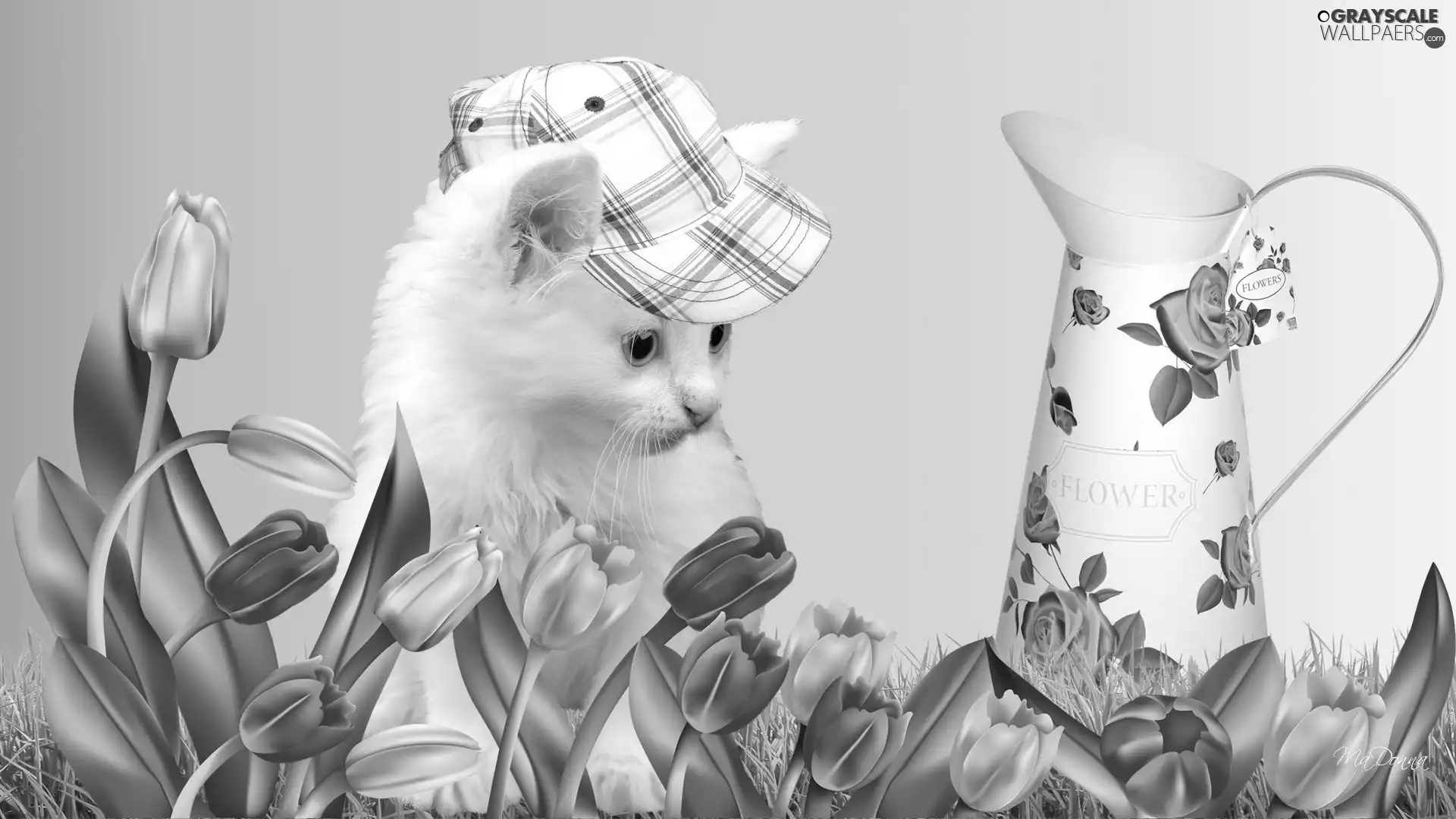 White, Hat, Tulips, kitten