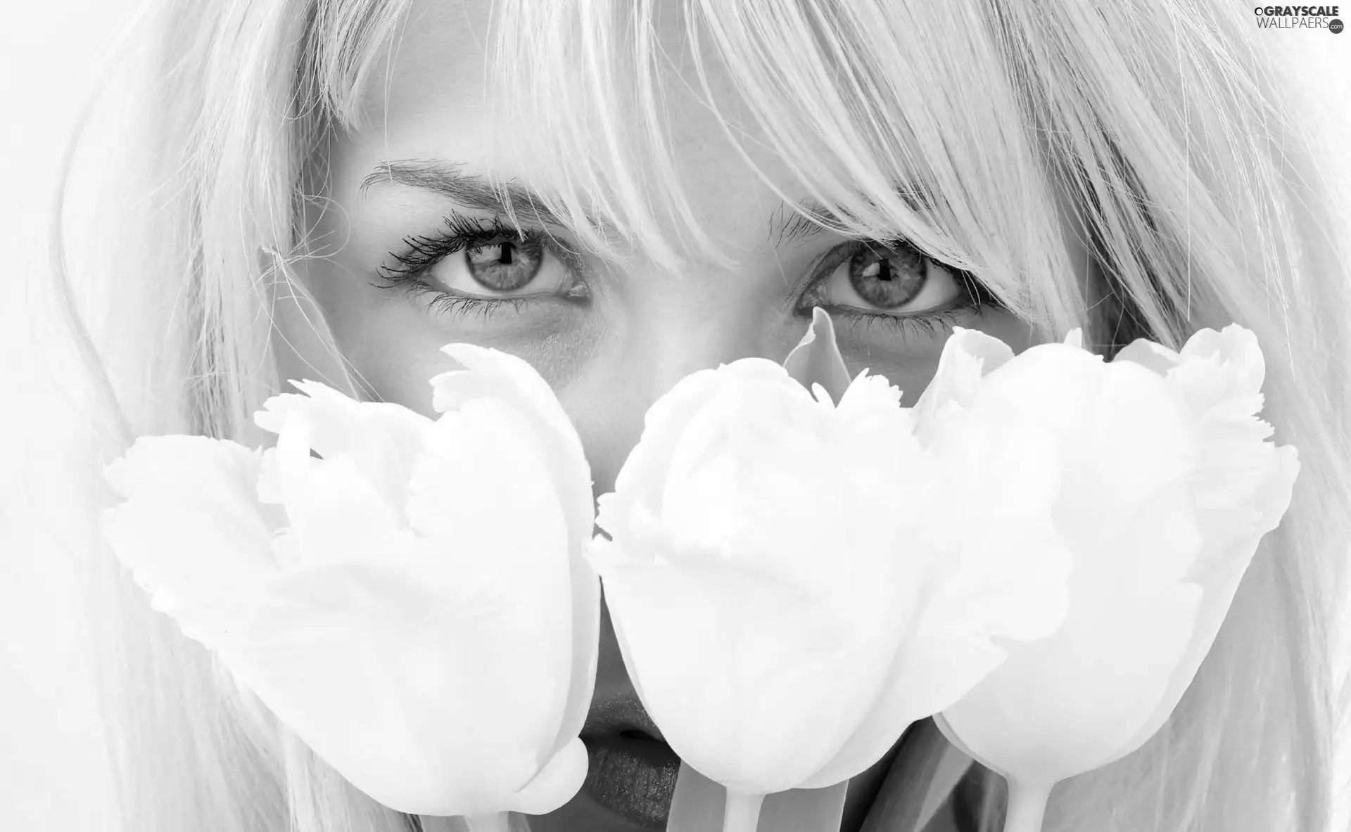 Women, White, Tulips, Eyes