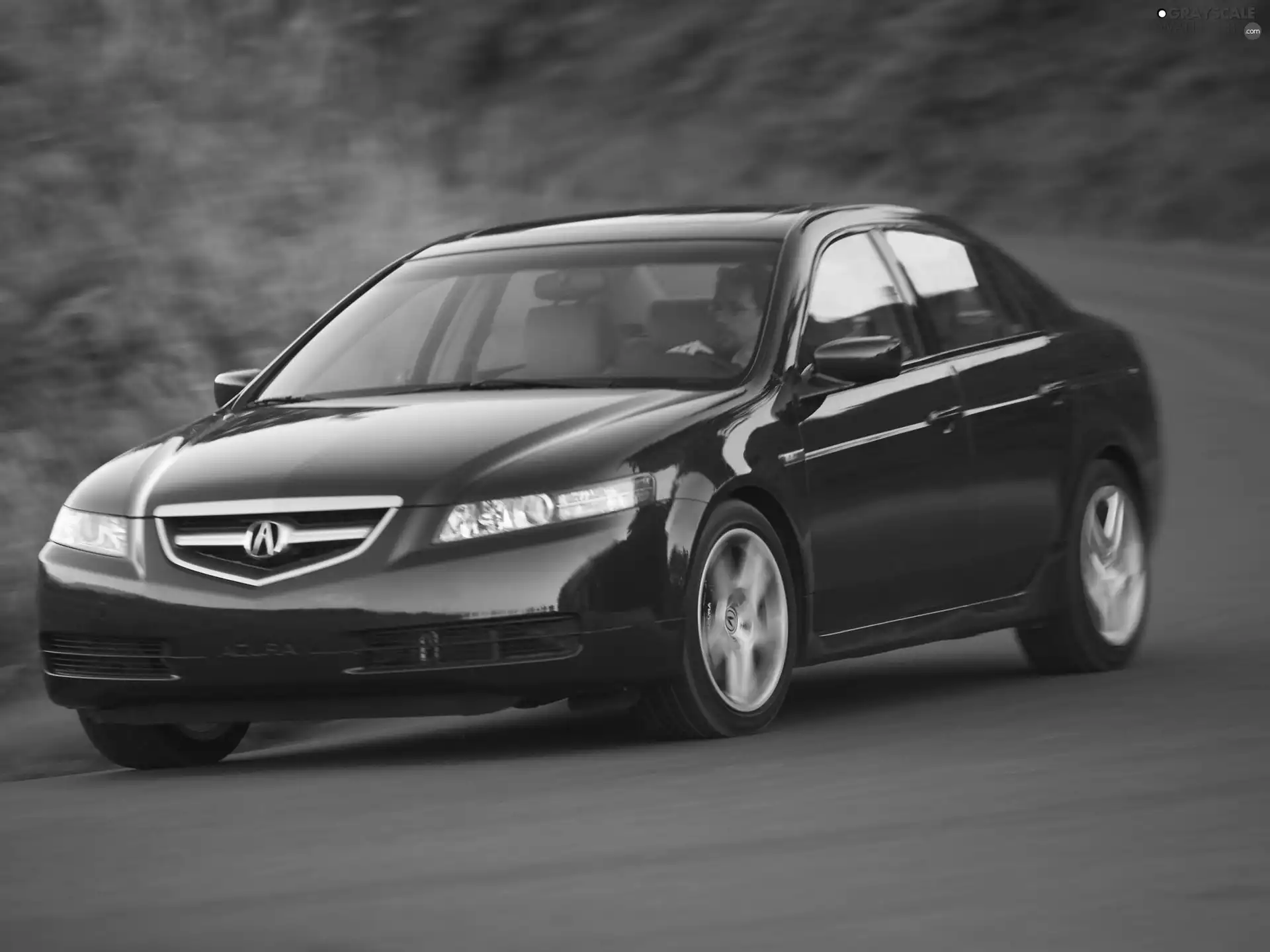 Cherry, driver, turn, Acura TL