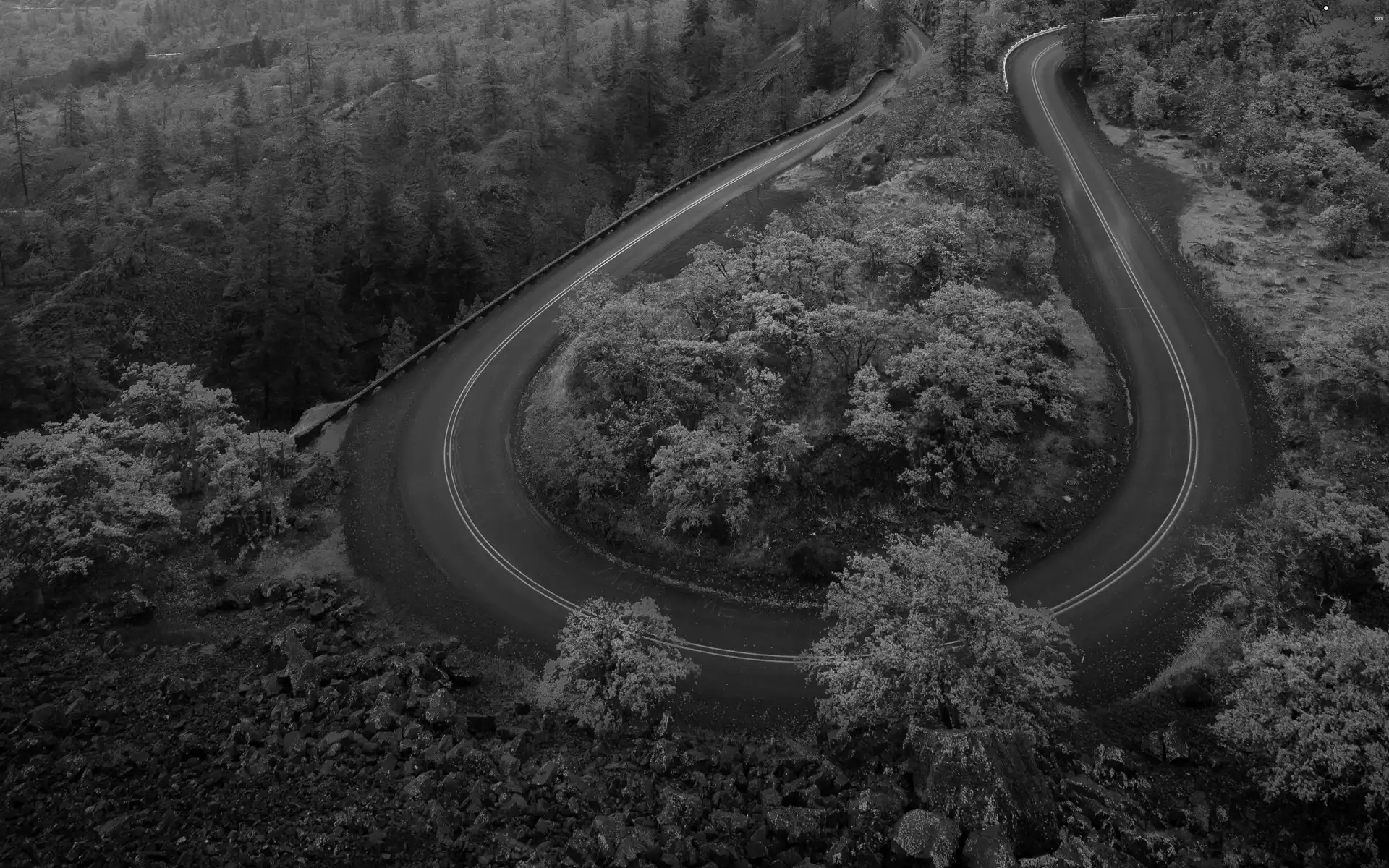 Way, turn, viewes, autumn, trees