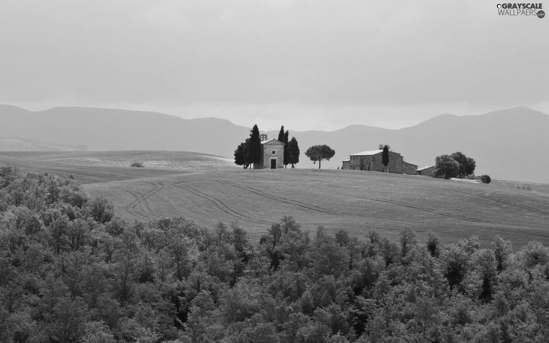 woods, Houses, Tuscany, Italy, Mountains, medows