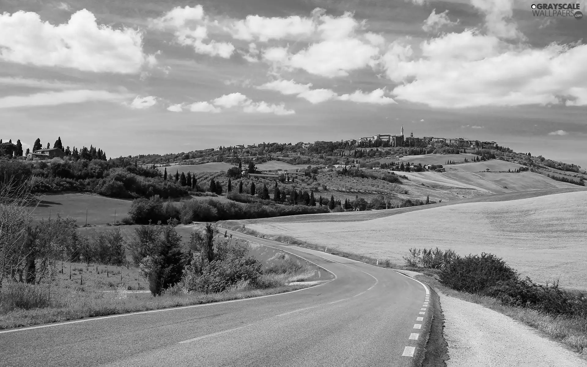 Tuscany, Italy, field, summer, Way