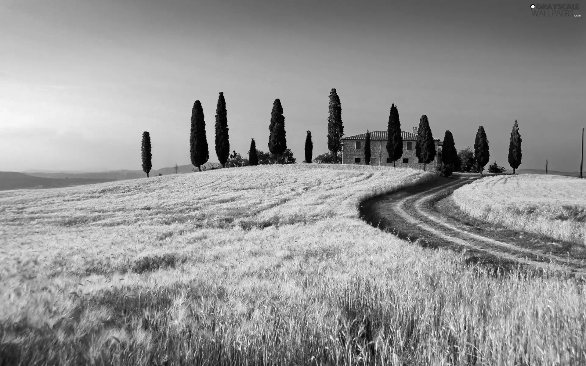 Italy, Tuscany