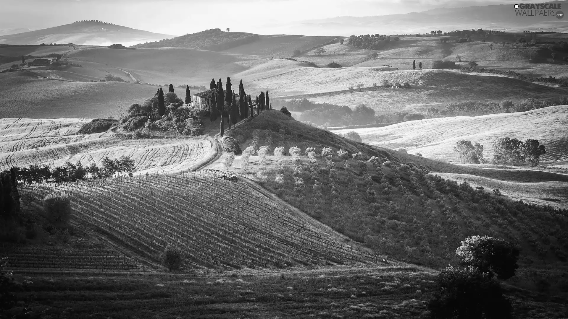 Tuscany, Italy, Houses, field, Fog, The Hills, viewes, Mountains, trees