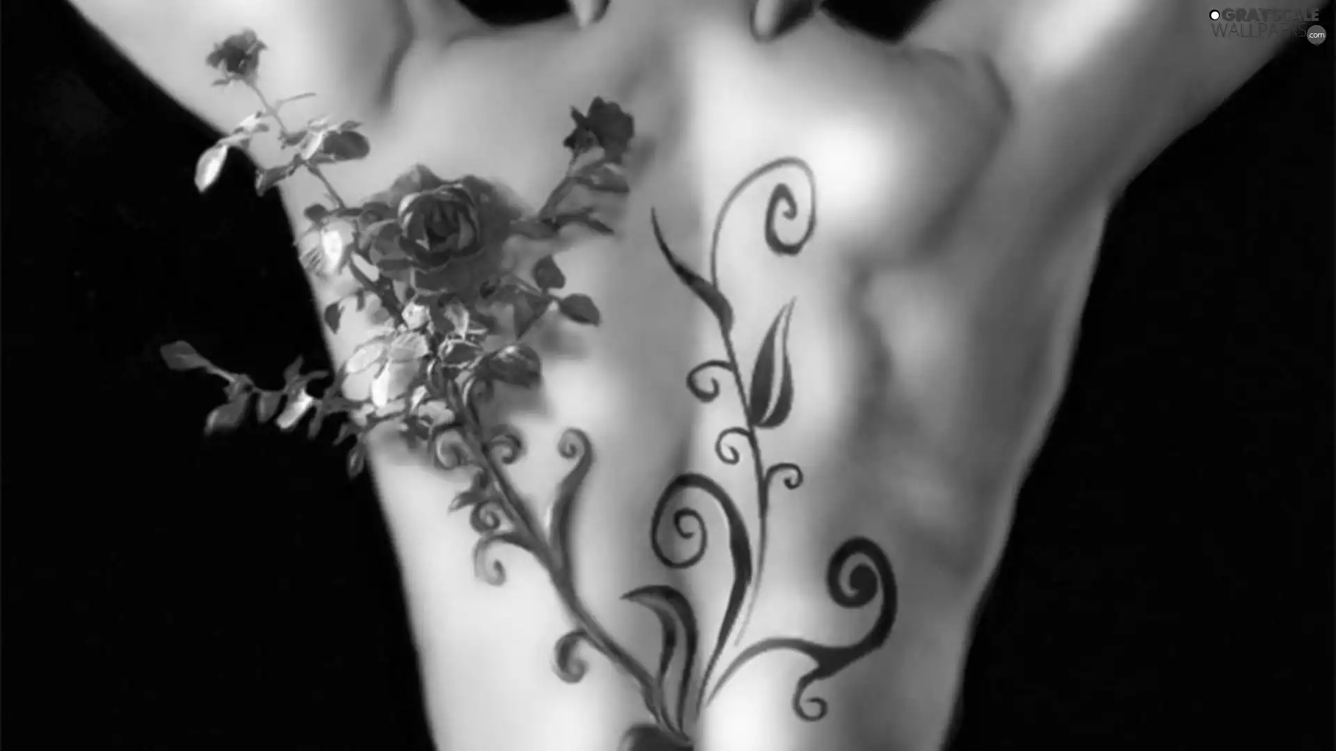 drag, back, twig, rose, Tattoo, shoulders
