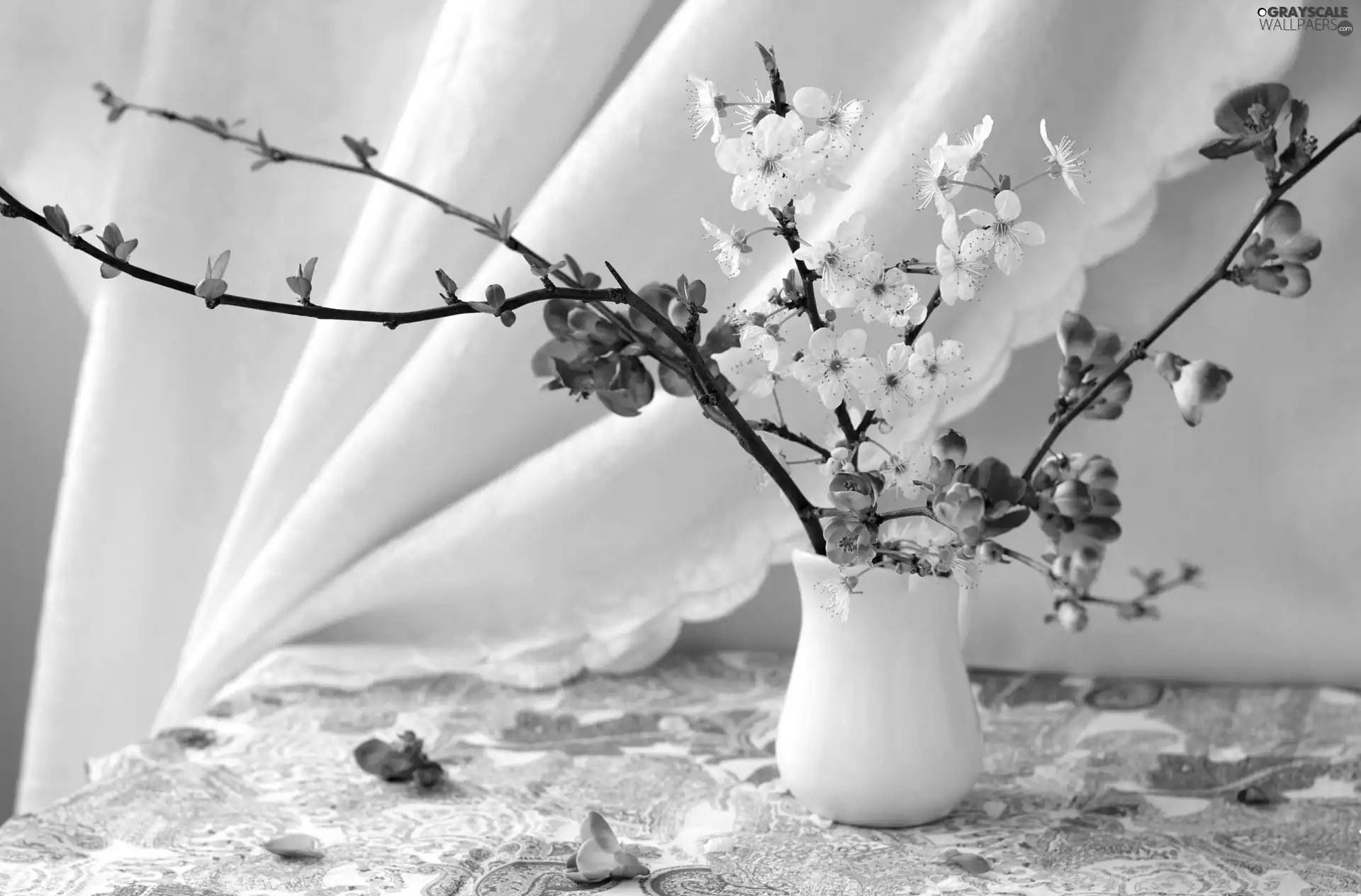 trees, Flowers, Twigs, composition, viewes, fruit