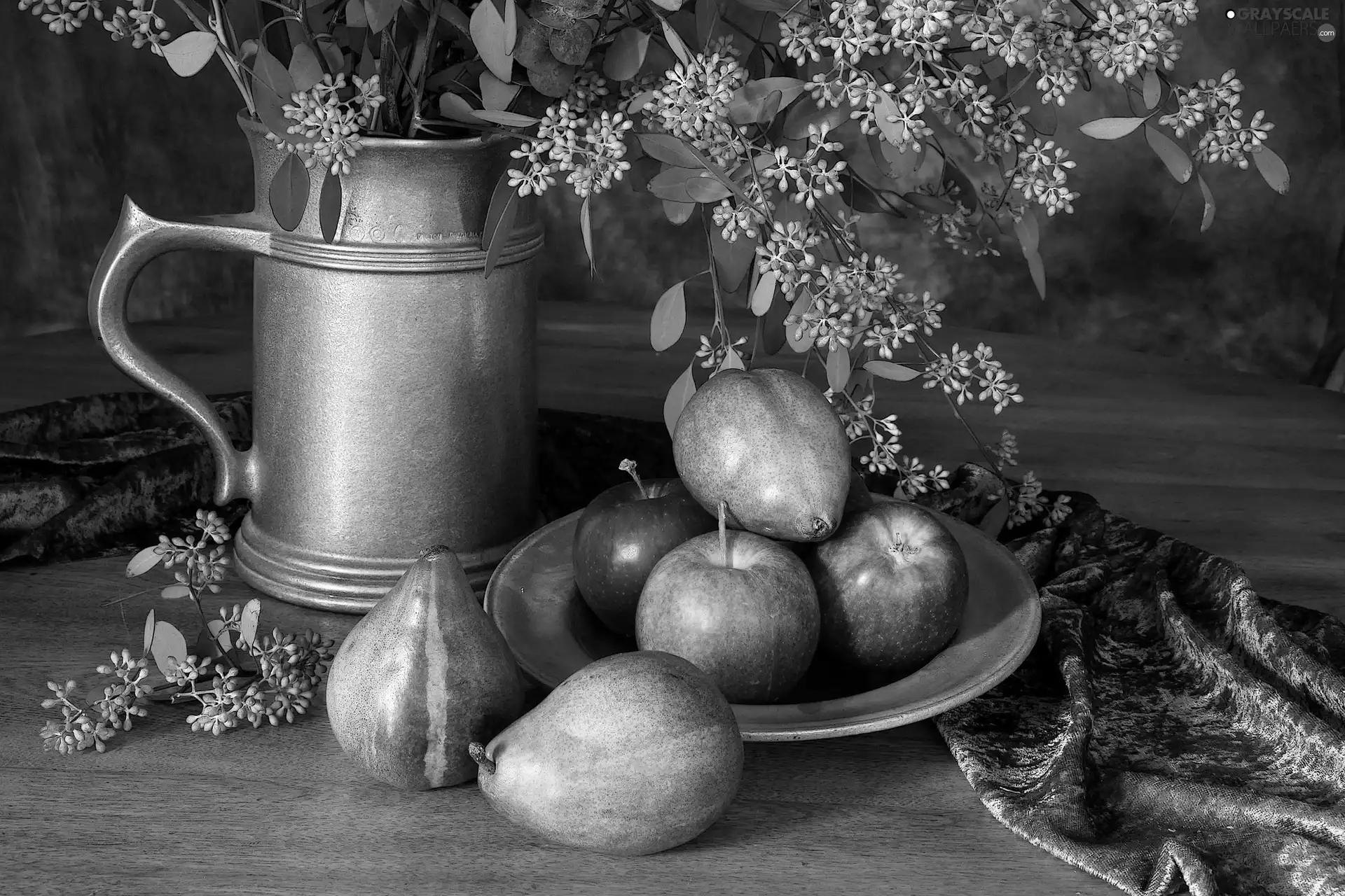 Still, Fruits, Twigs, nature