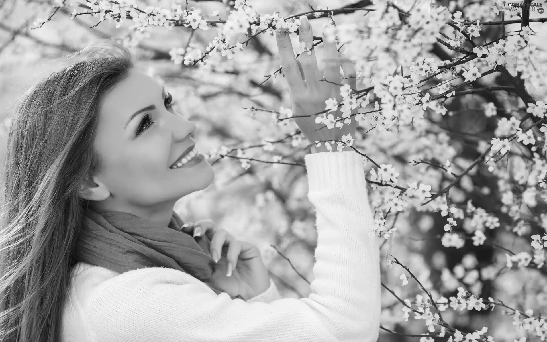 Pink, smiling, Flourished, Twigs, Scarf, Women