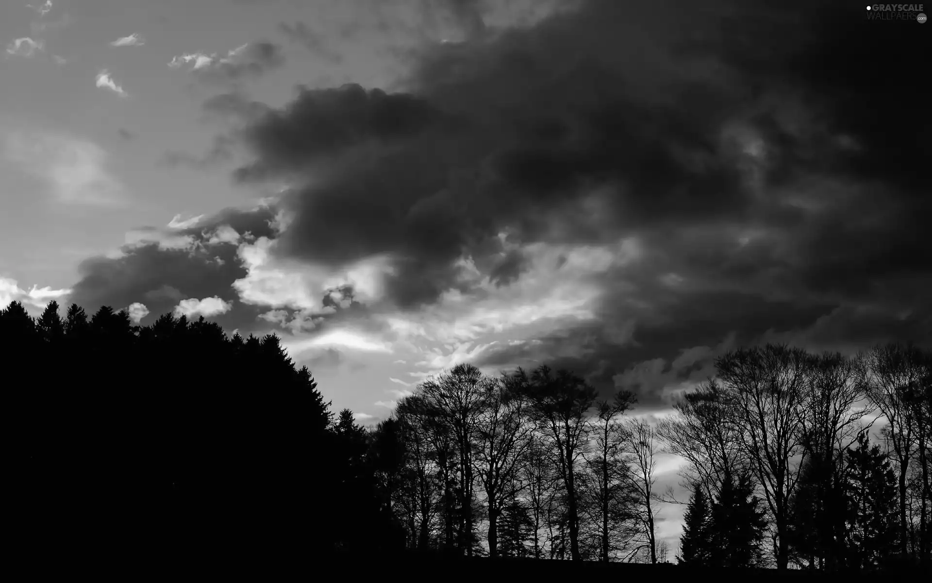 twilight, clouds, forest