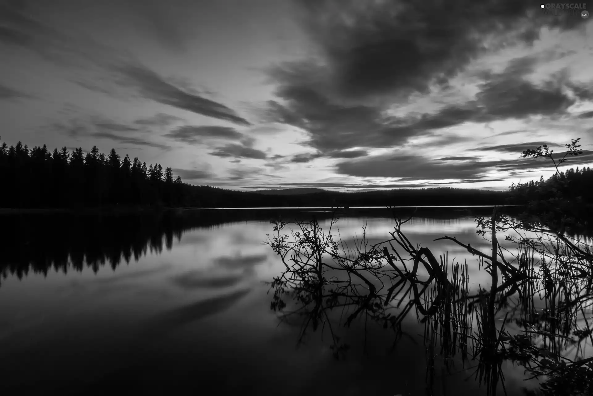 lake, twilight