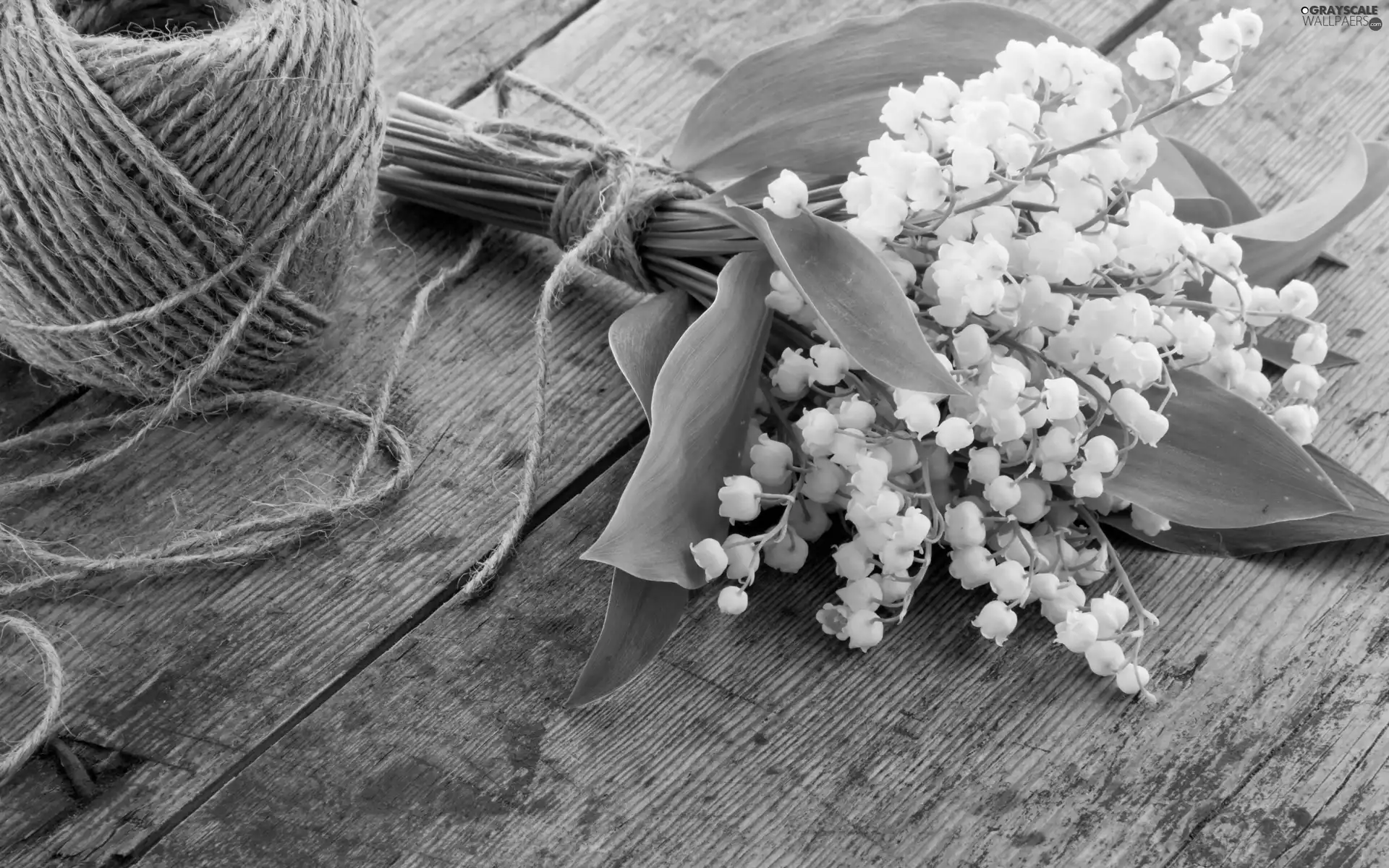 lilies, twine