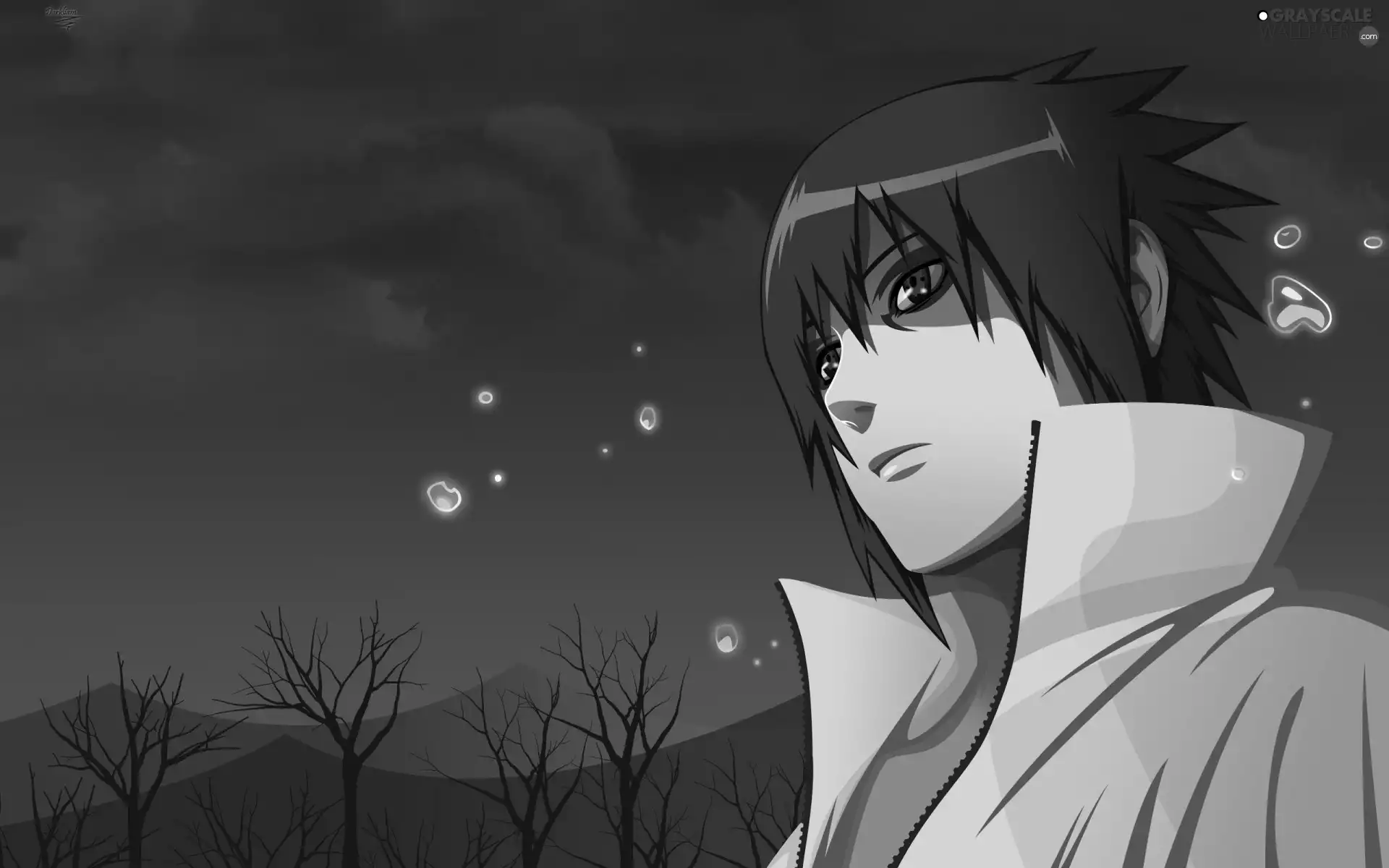 Naruto, Sasuke Uchiha