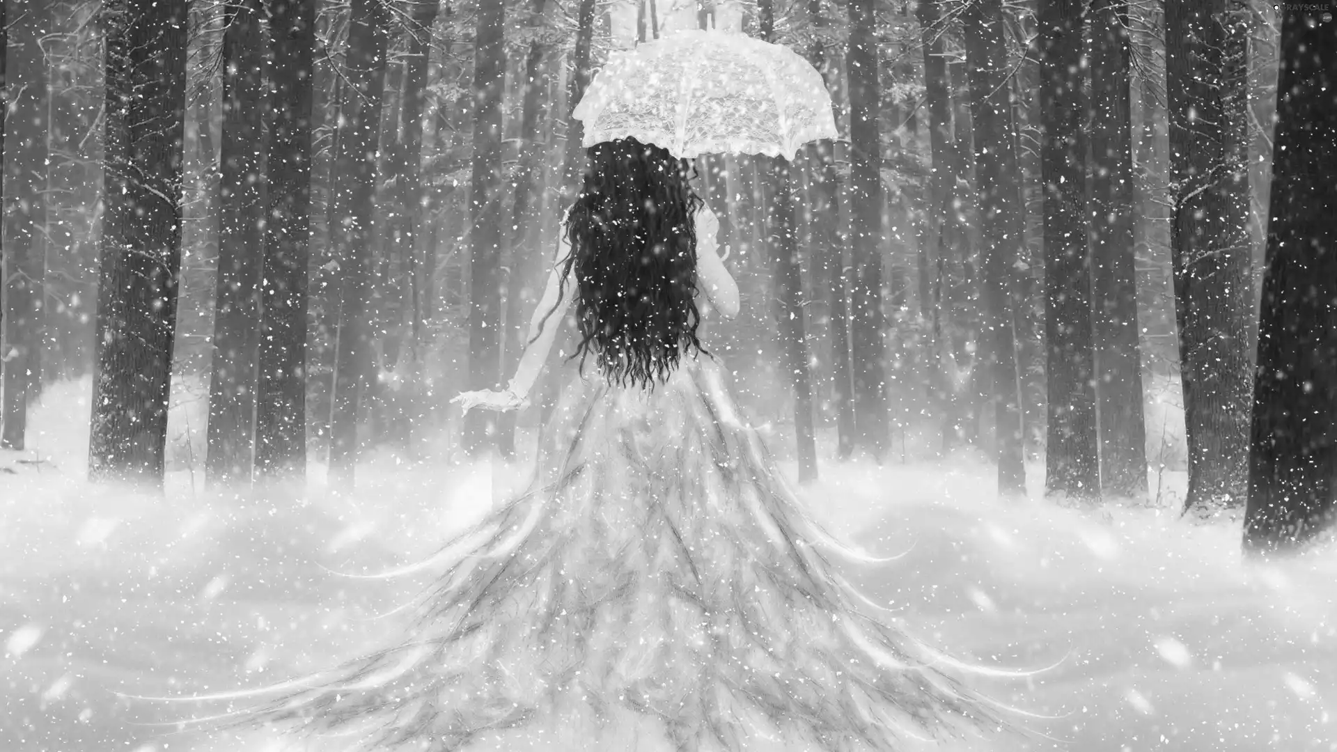 snow, umbrella, Women, winter, fantasy