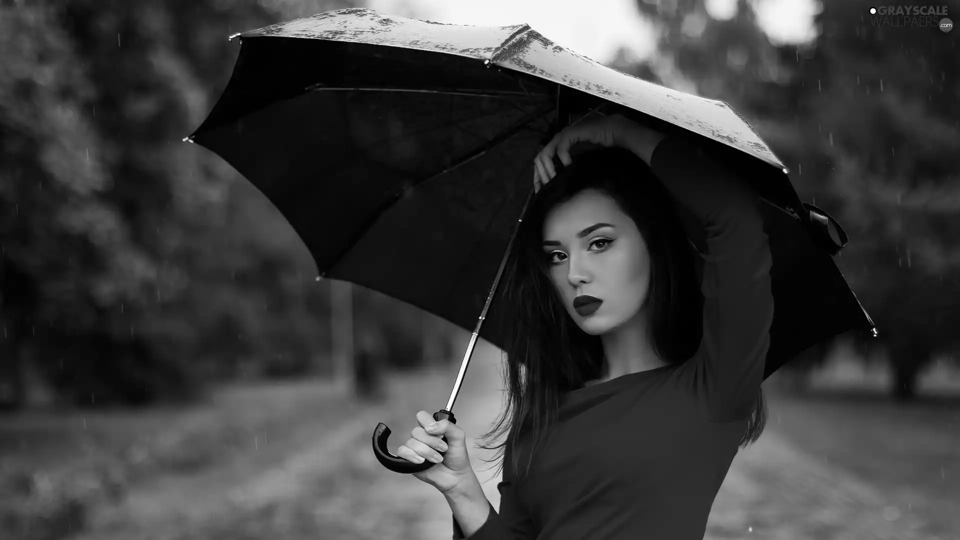 Umbrella, Women, Rain