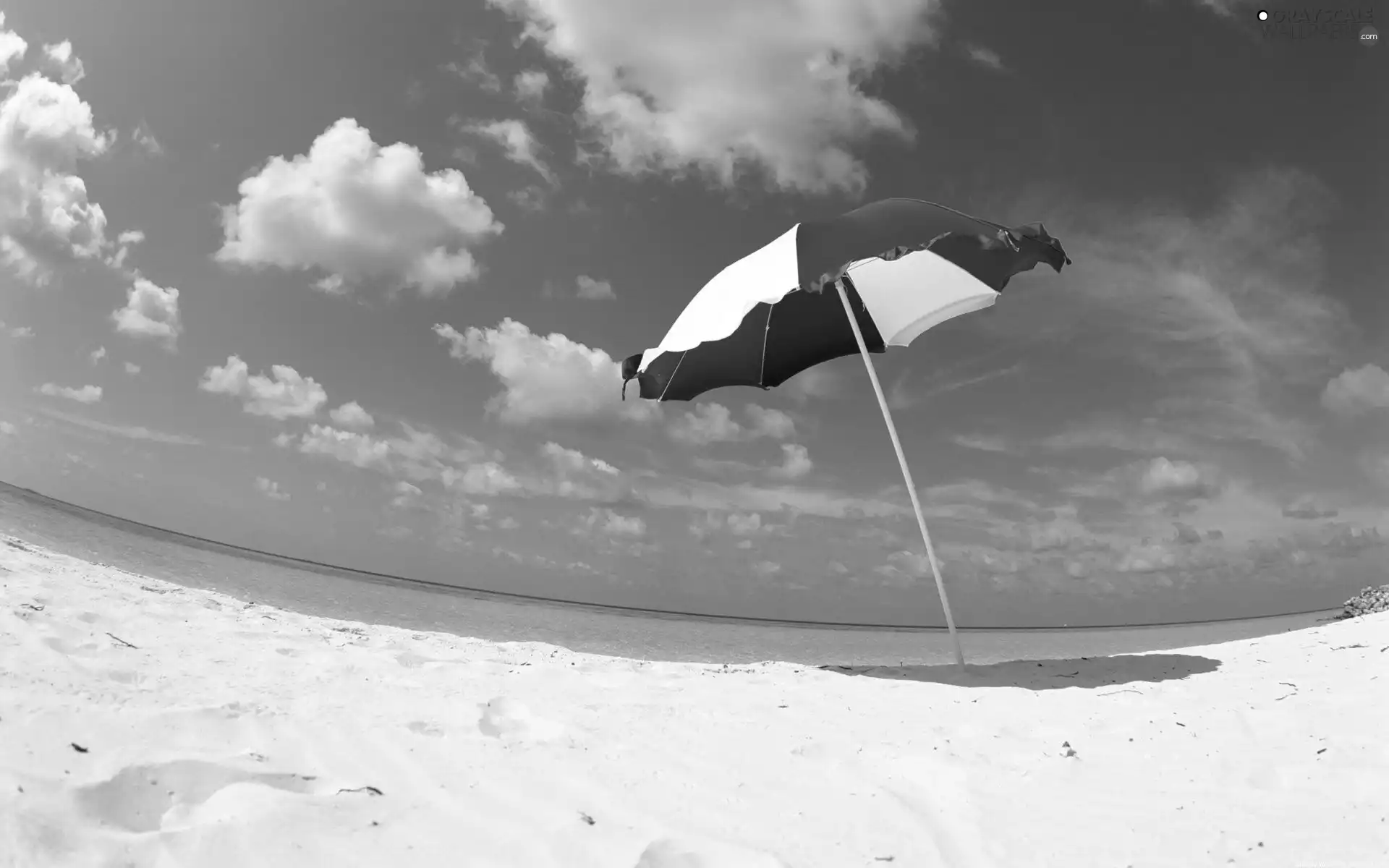 Umbrella, Beaches, sea