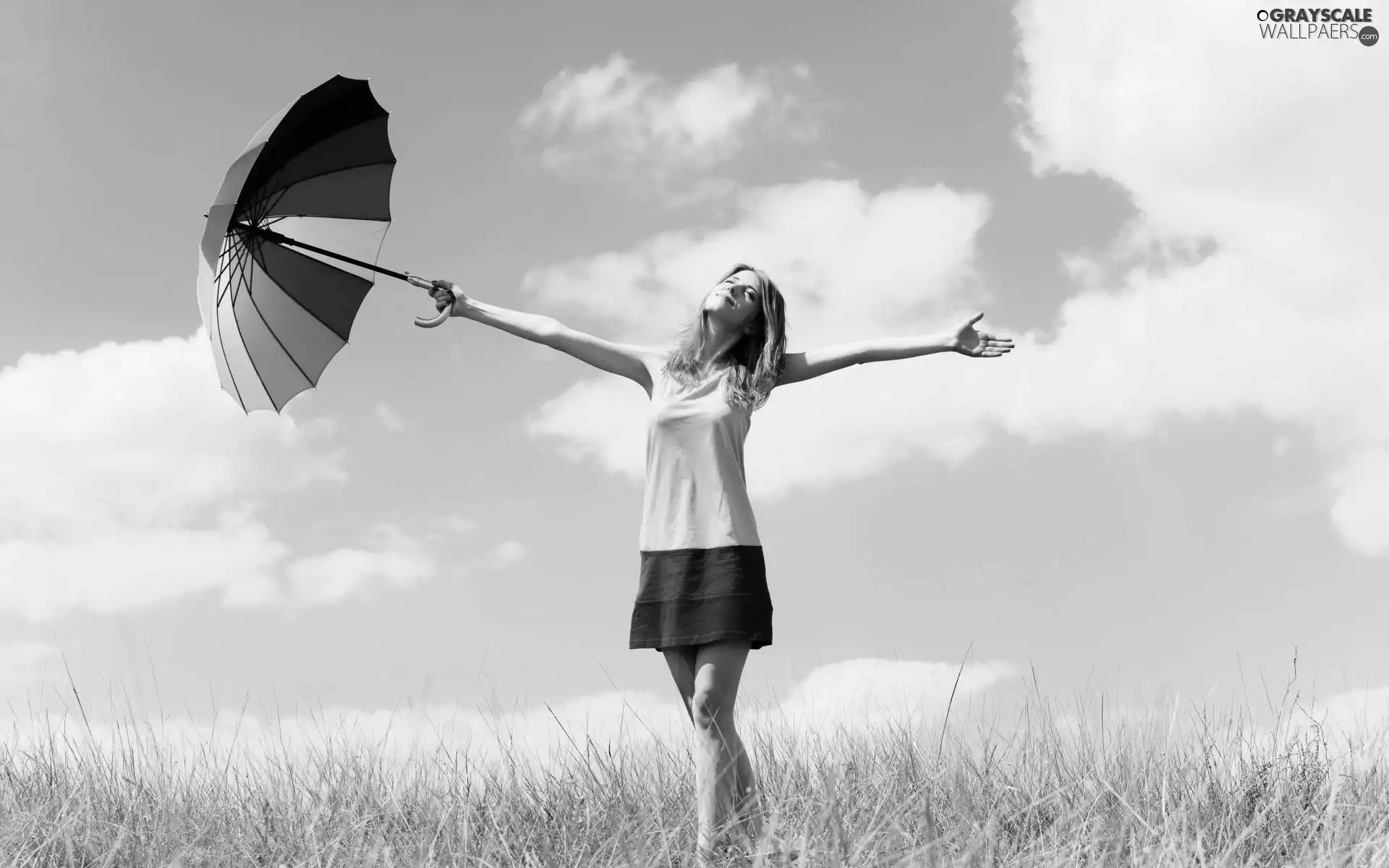 Women, Sky, umbrella, Meadow