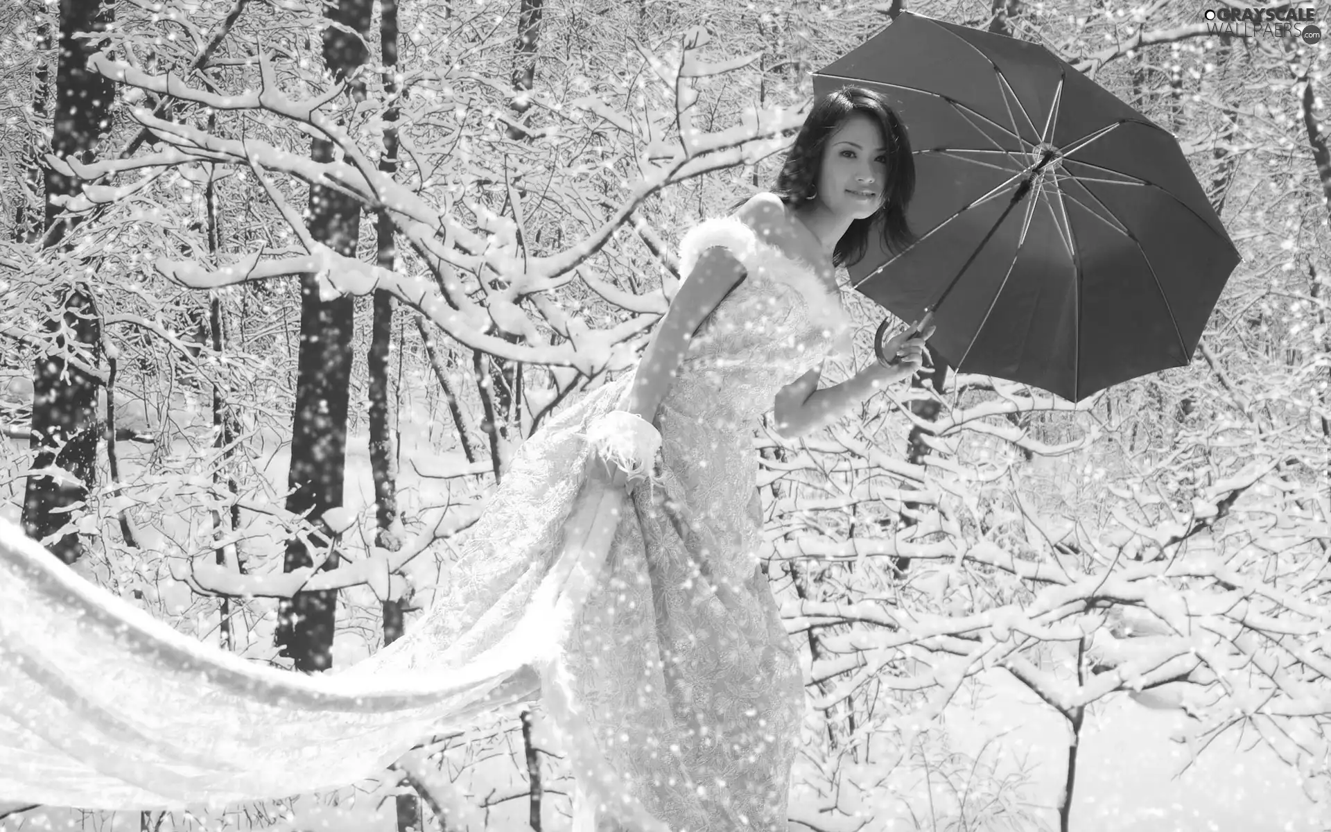 Umbrella, winter, Women