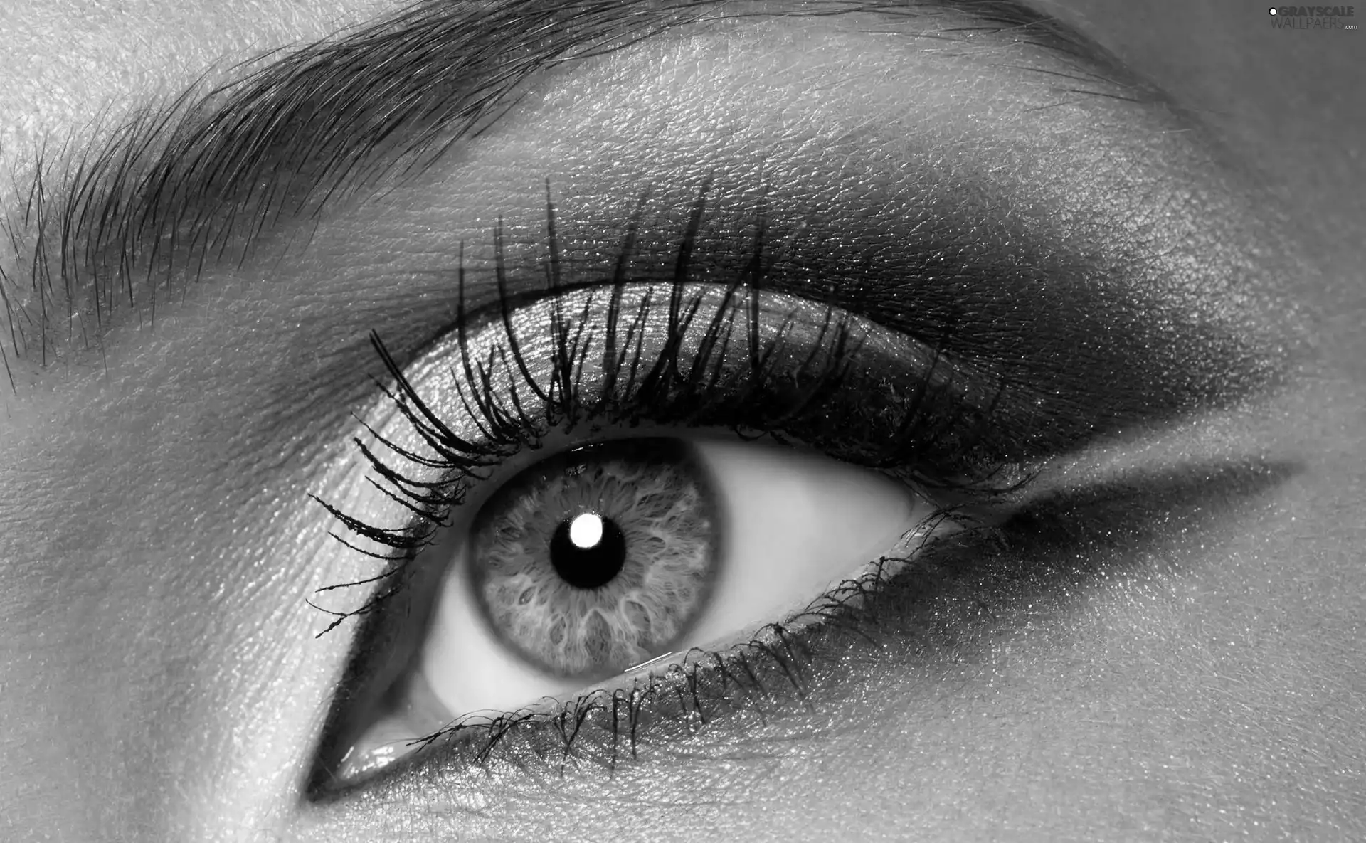 eye, make-up