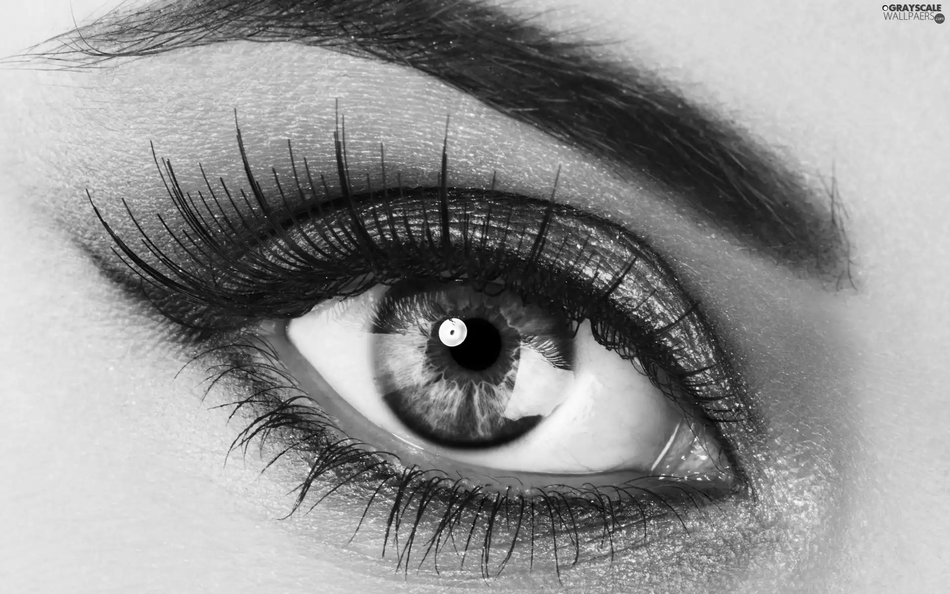 eye, Make-Up