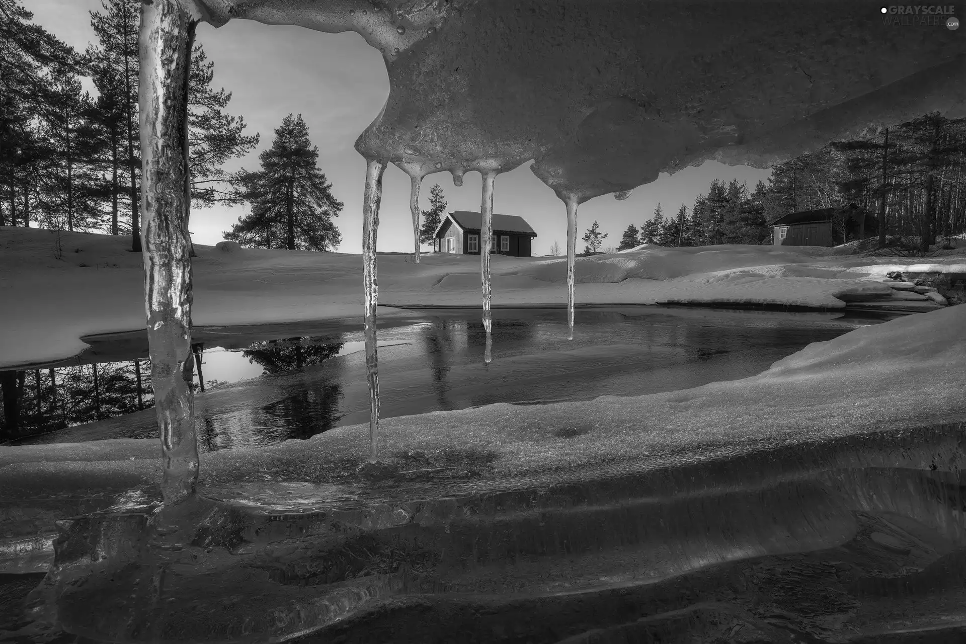 Vaeleren Lake, Ringerike, trees, viewes, winter, Norway, Icecream, icicle, house