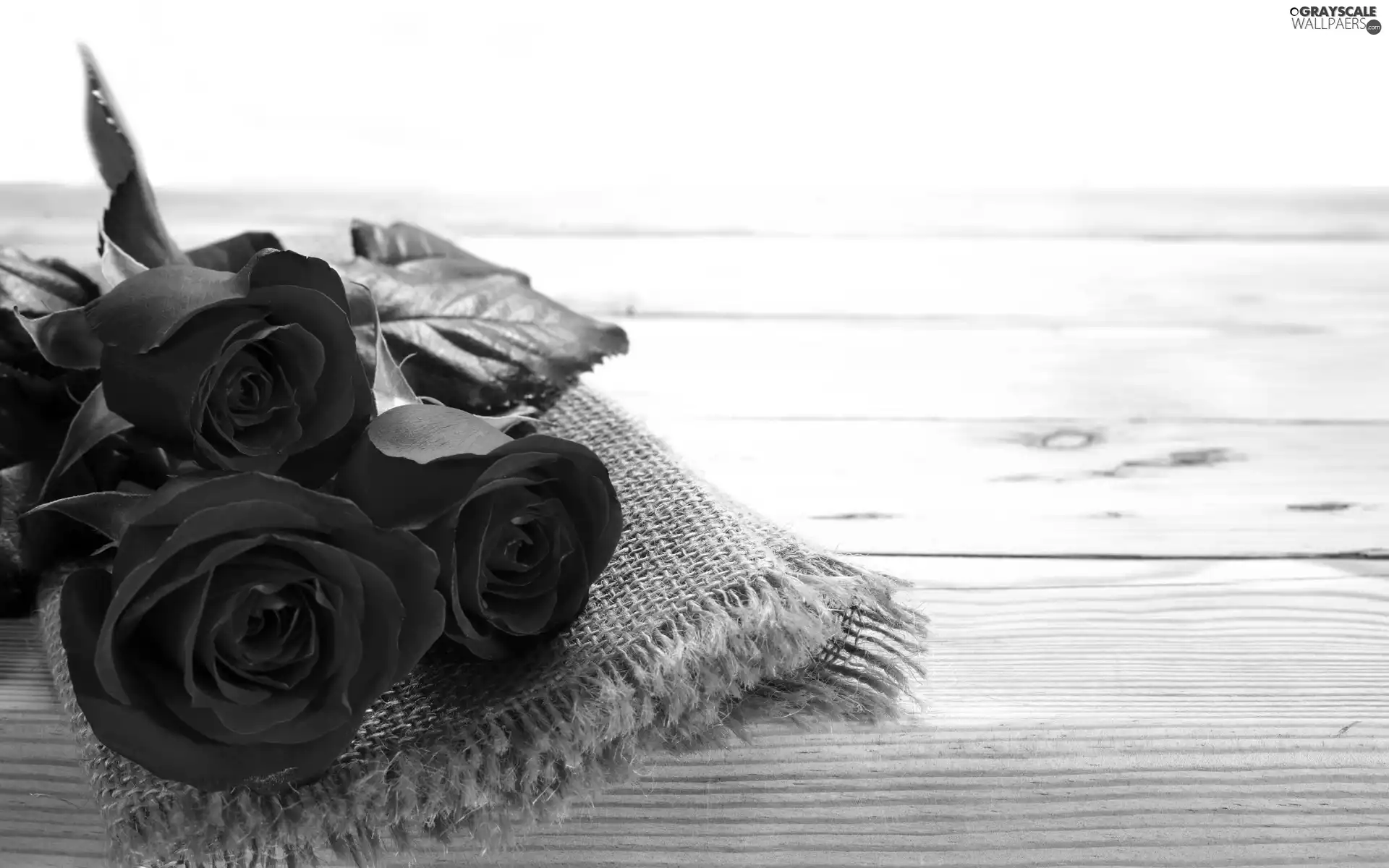 Valentine