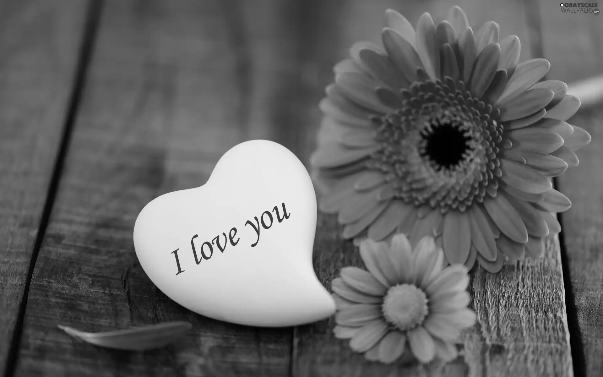 Valentine