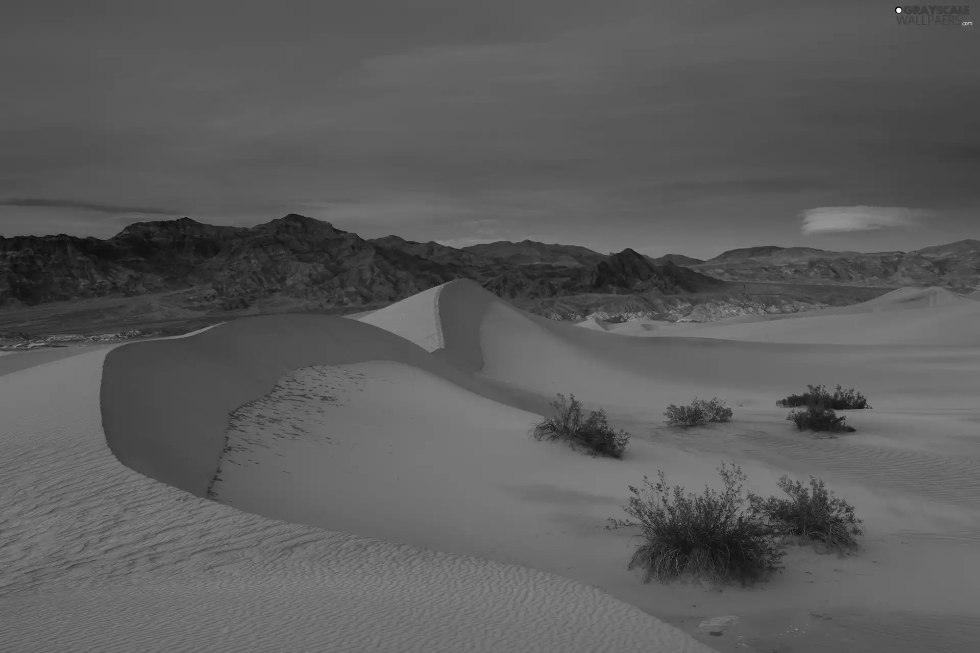 Valley, California, national, Death, Park