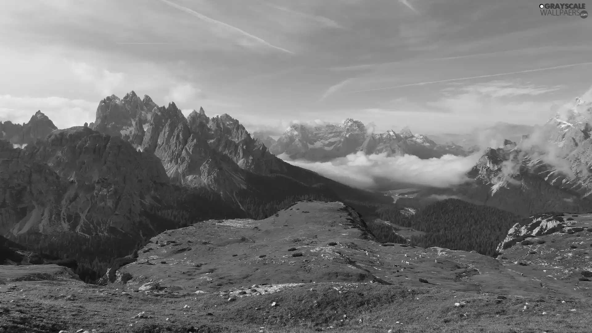 Valley, Mountains, Fog