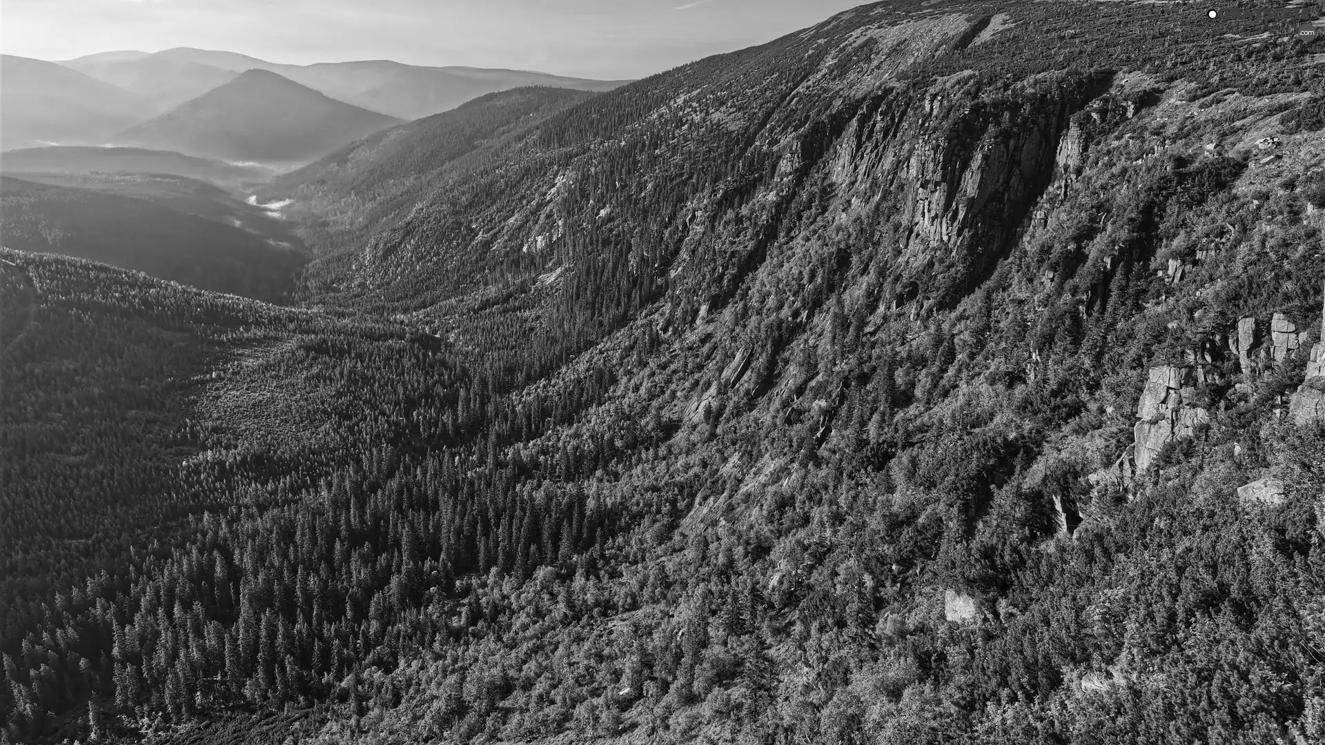 Giant Mountains, forested, Valley, Poland, woods, Mountains