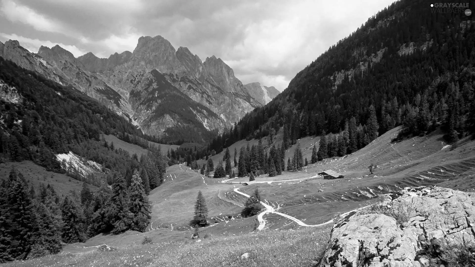 woods, Bavaria, Valley, Houses, medows, Mountains