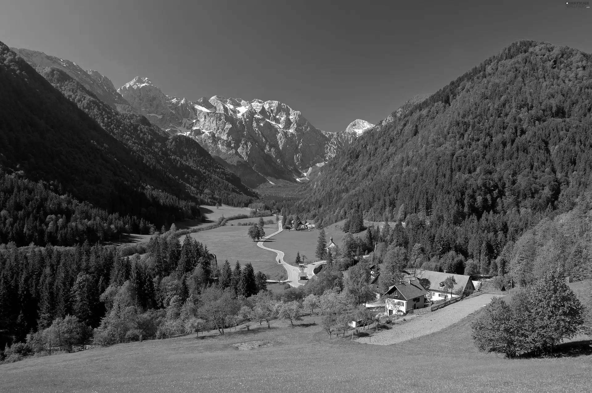 Valley, village, woods, medows, Mountains