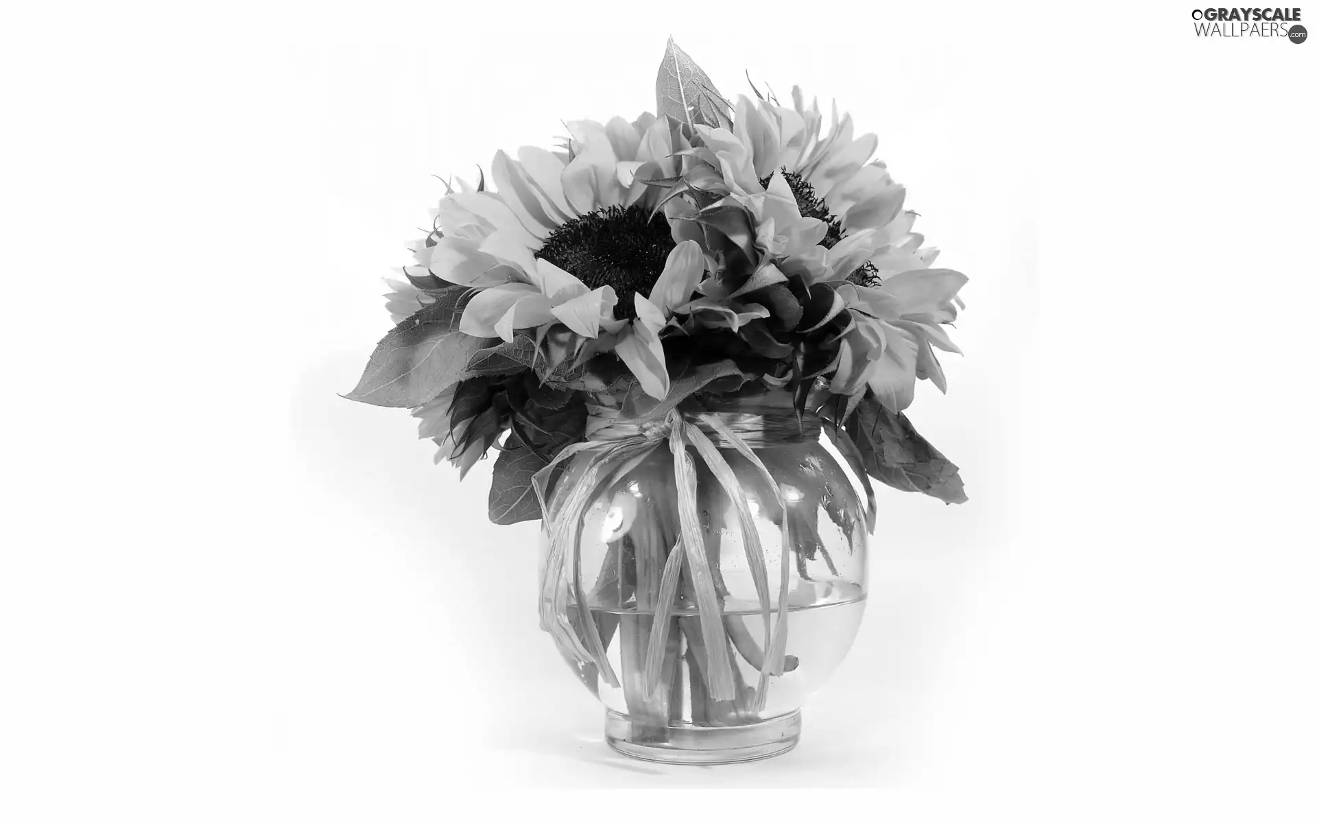 bouquet, clear, Vase, sunflowers