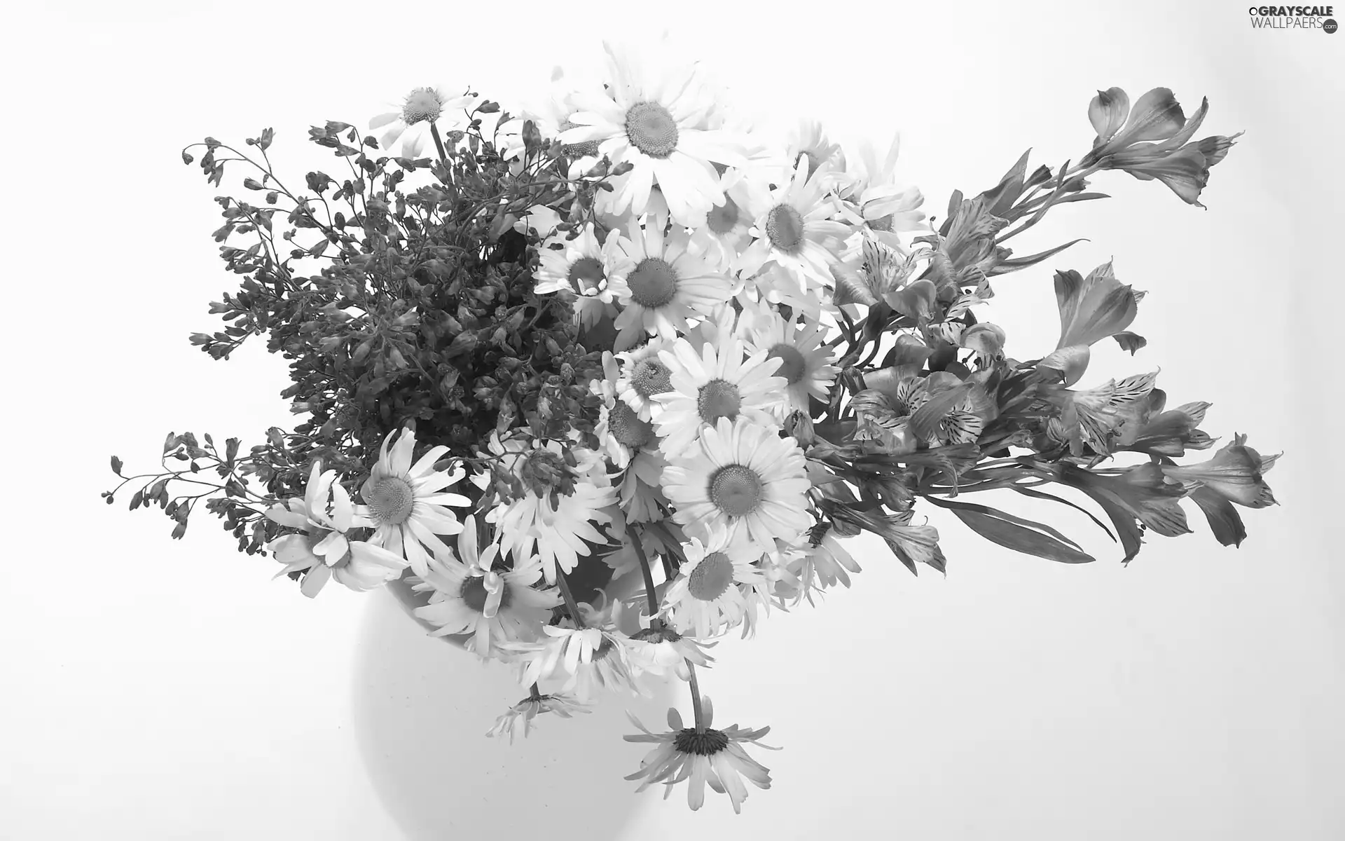 bouquet, Flowers, Vase, Wildflowers