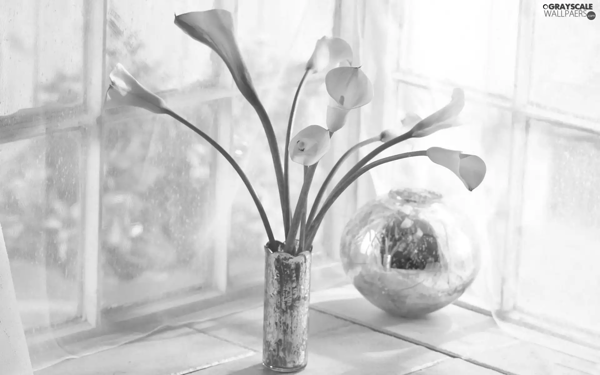Vase, Yellow, Calla