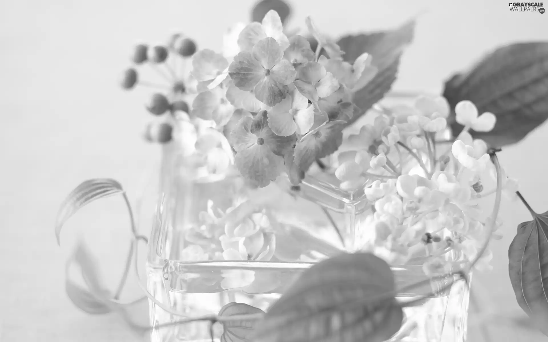 Vase, bouquet, flowers