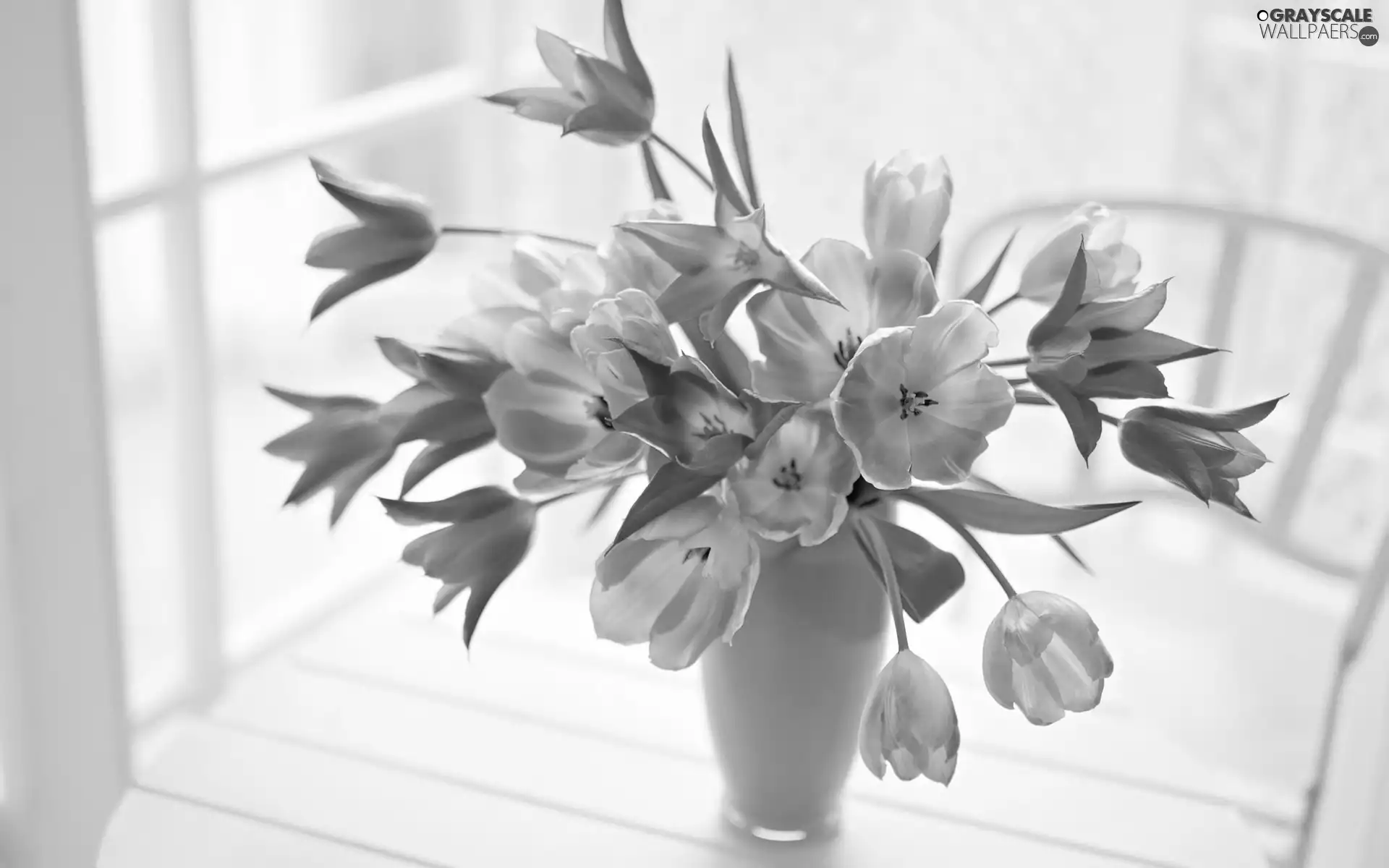 Vase, Orange, Tulips