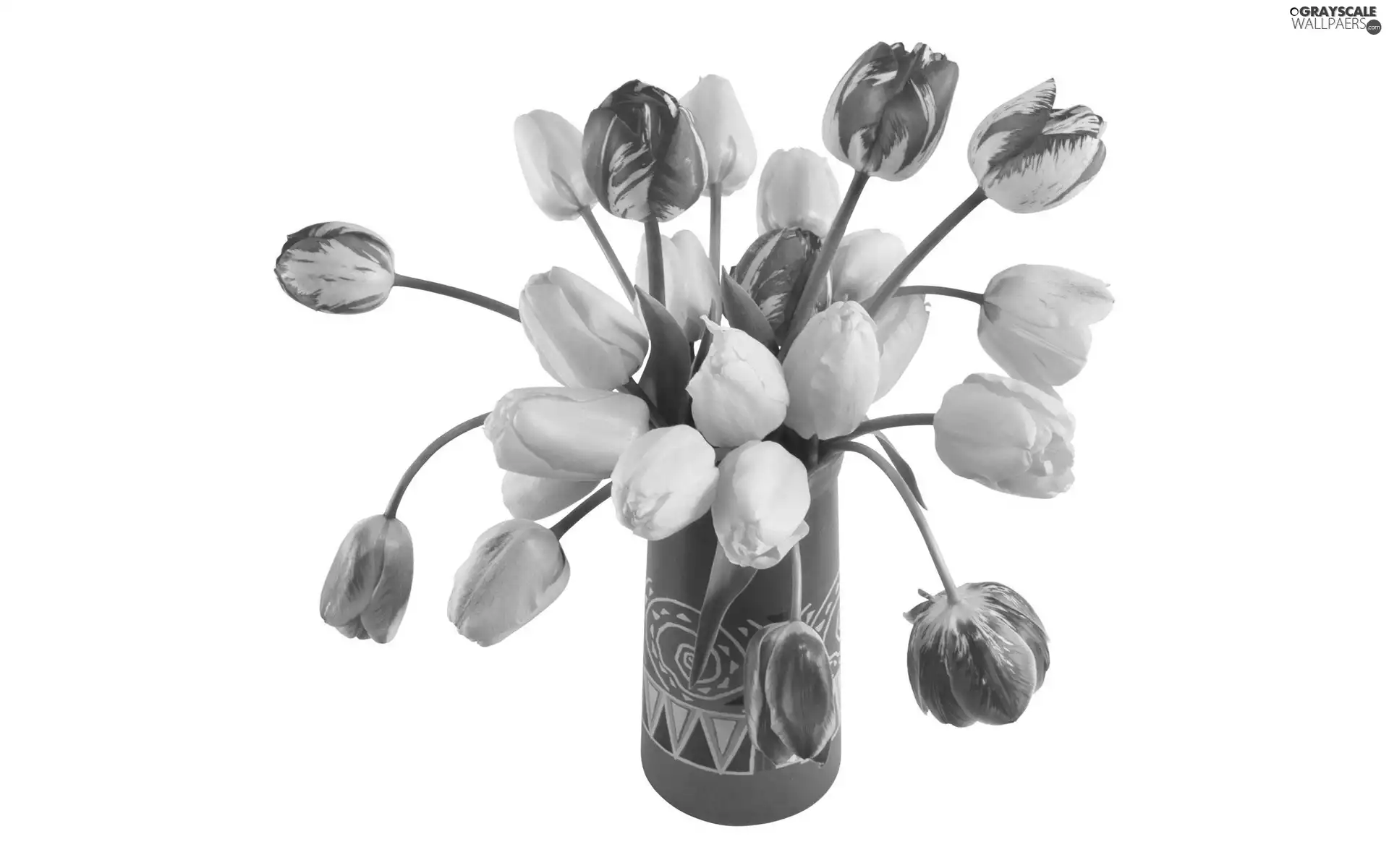 Tulips, Vase