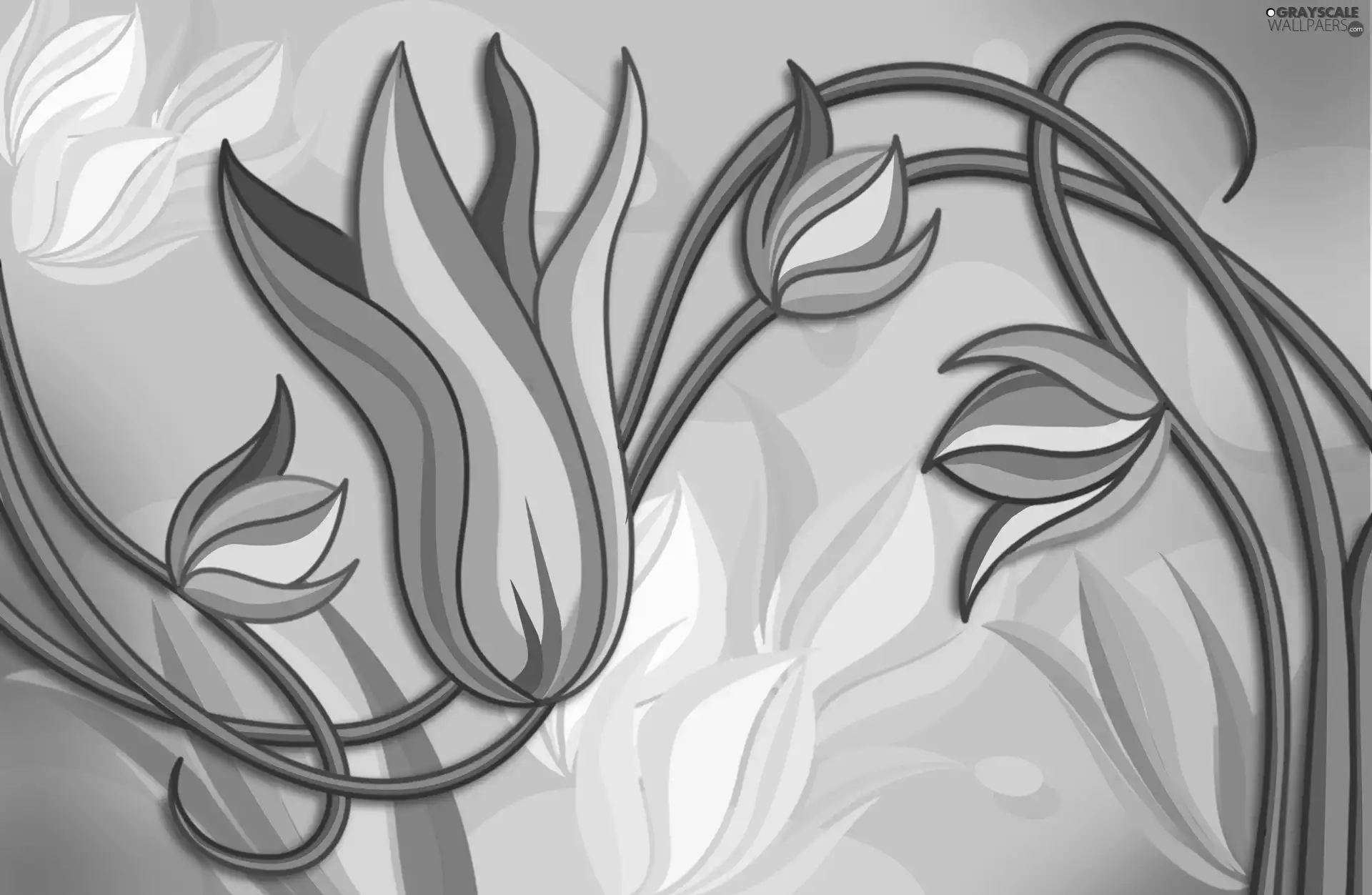 vector, color, Tulips