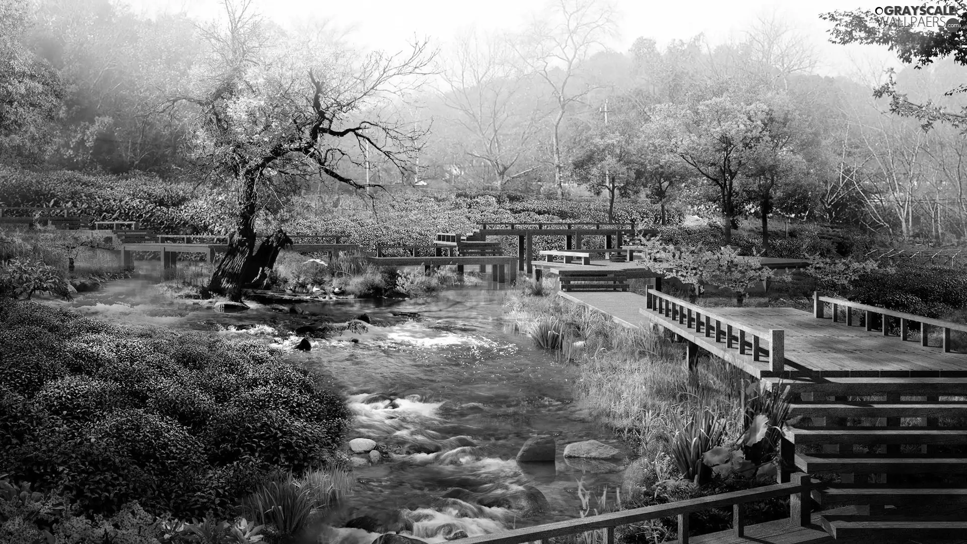 Garden, bridges, VEGETATION, brook