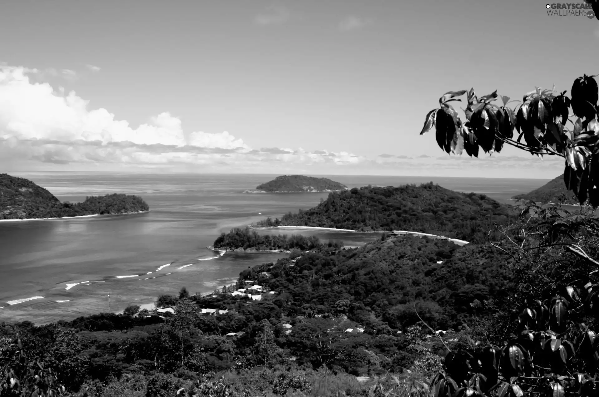 VEGETATION, sea, Islets