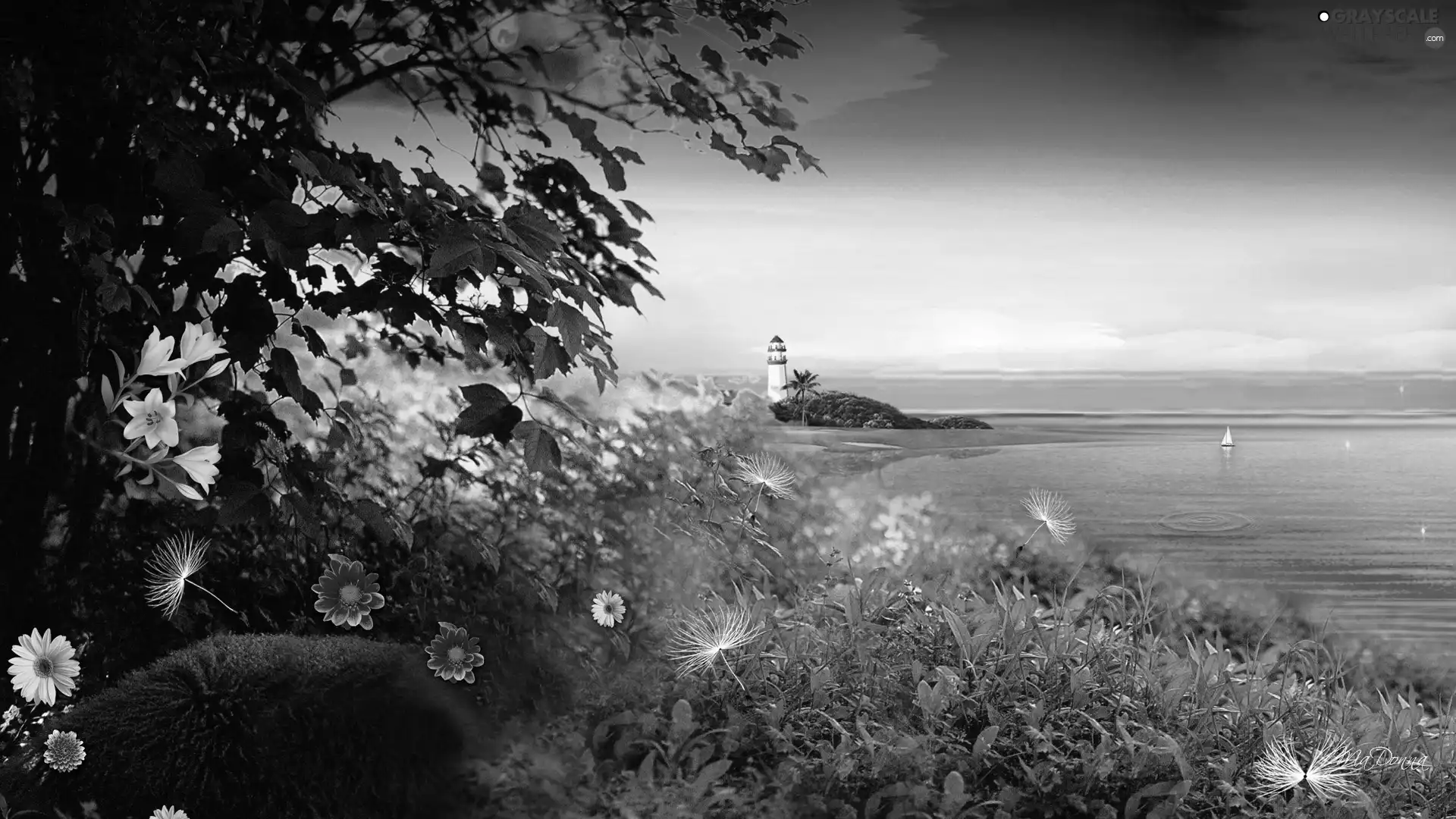 Lighthouses, Flowers, VEGETATION, sea