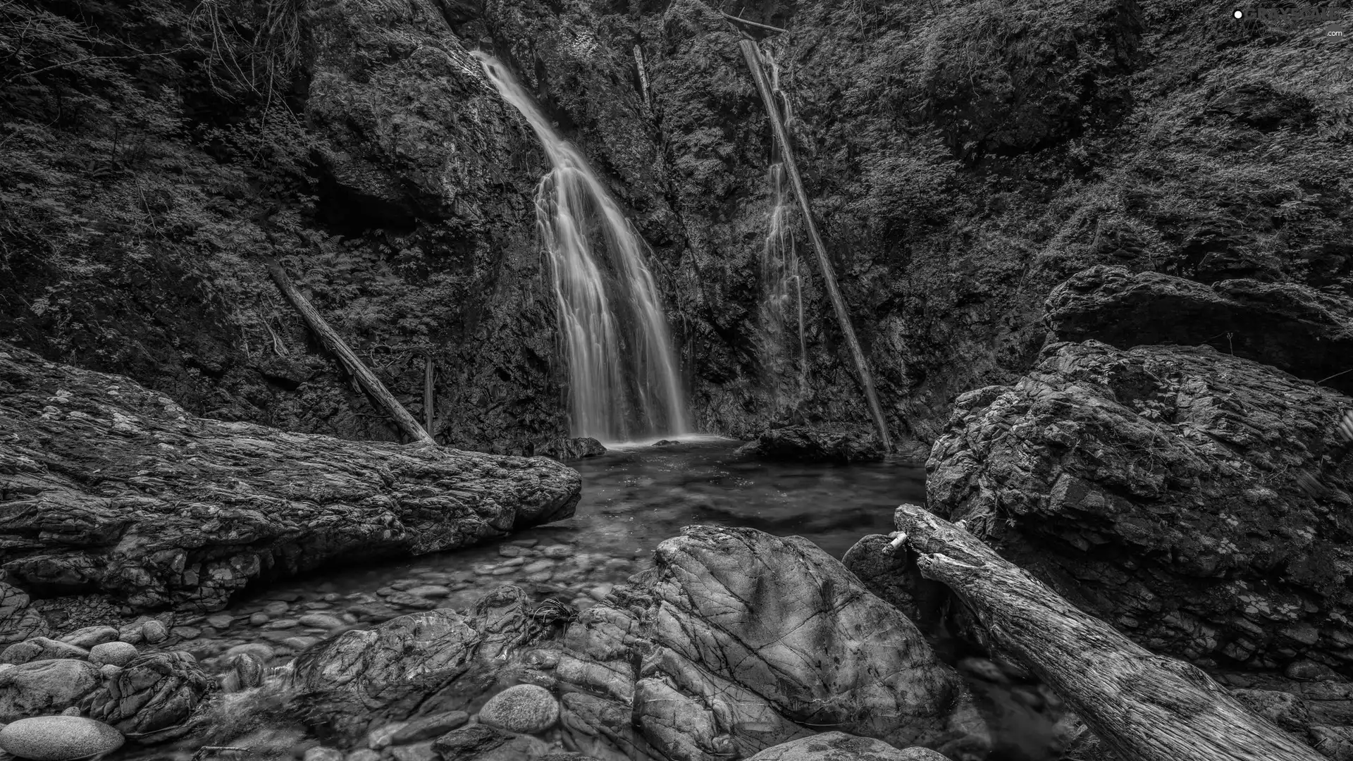 Stones, VEGETATION, Logs, Rocks, waterfall